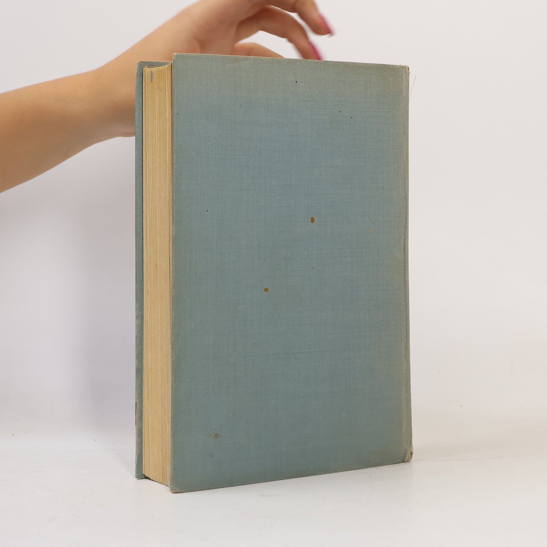 Edith Wharton Amerikanische Romanze