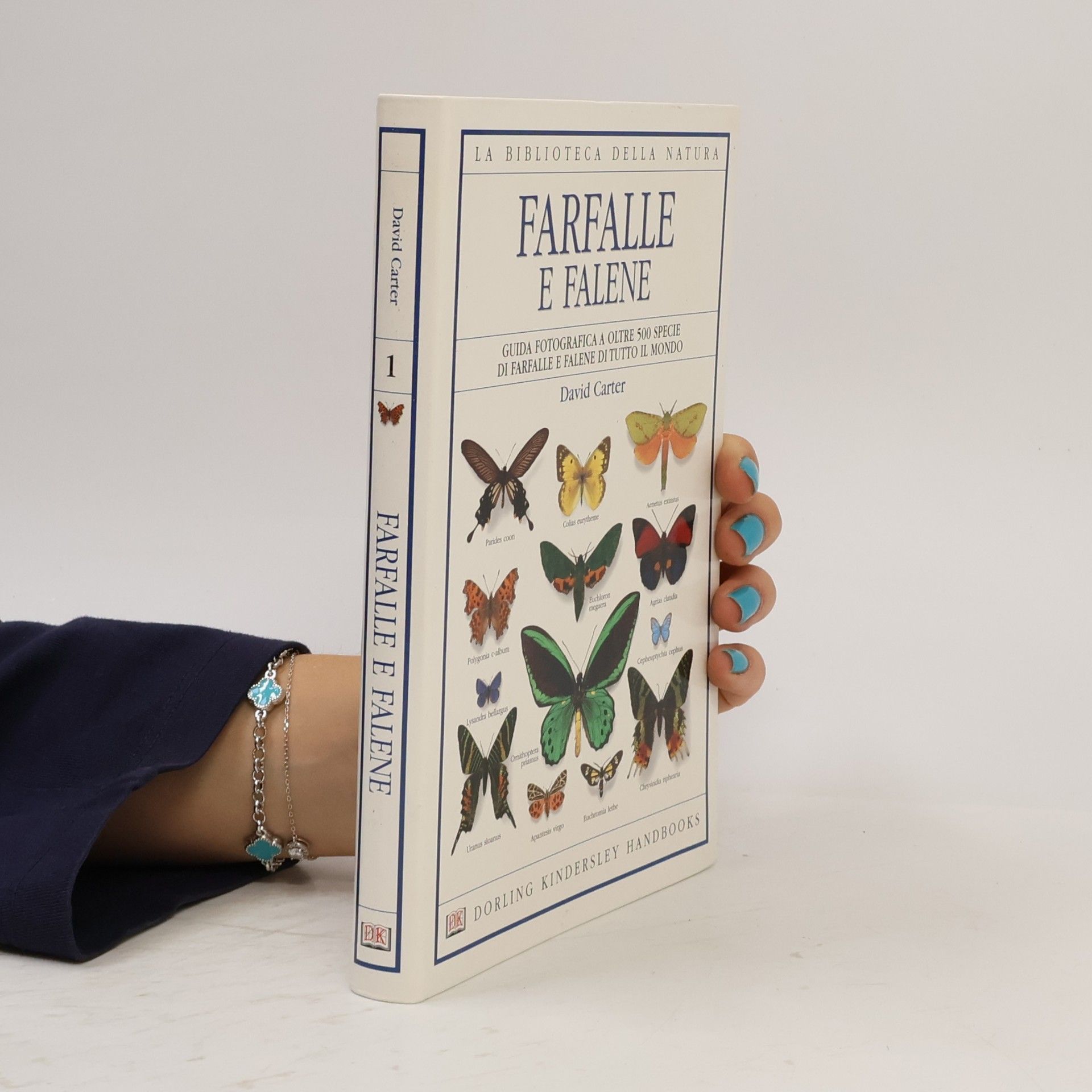 David Carter Farfalle e falene
