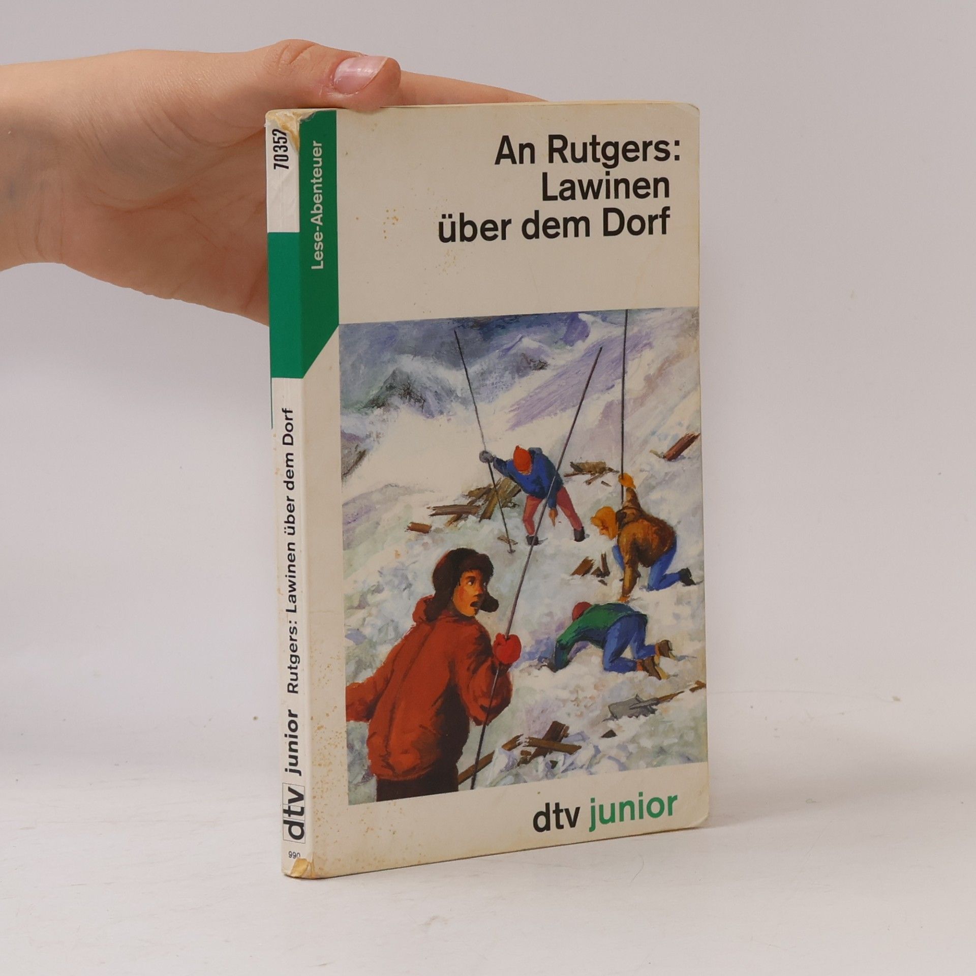 Anna Rutgers van der Loeff Lawinen über dem Dorf