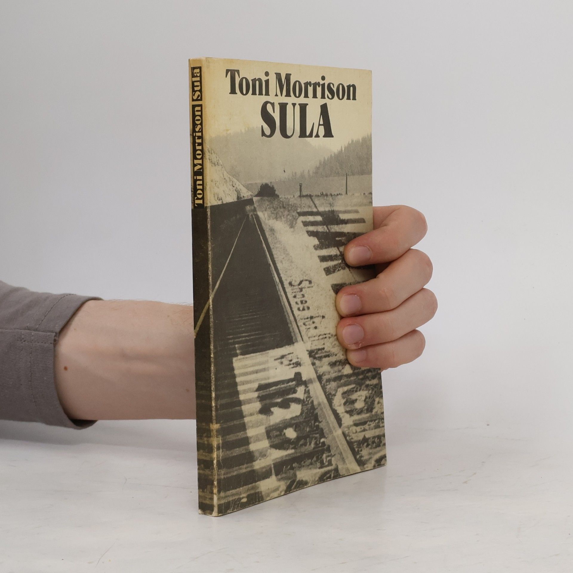 Toni Morrison Sula