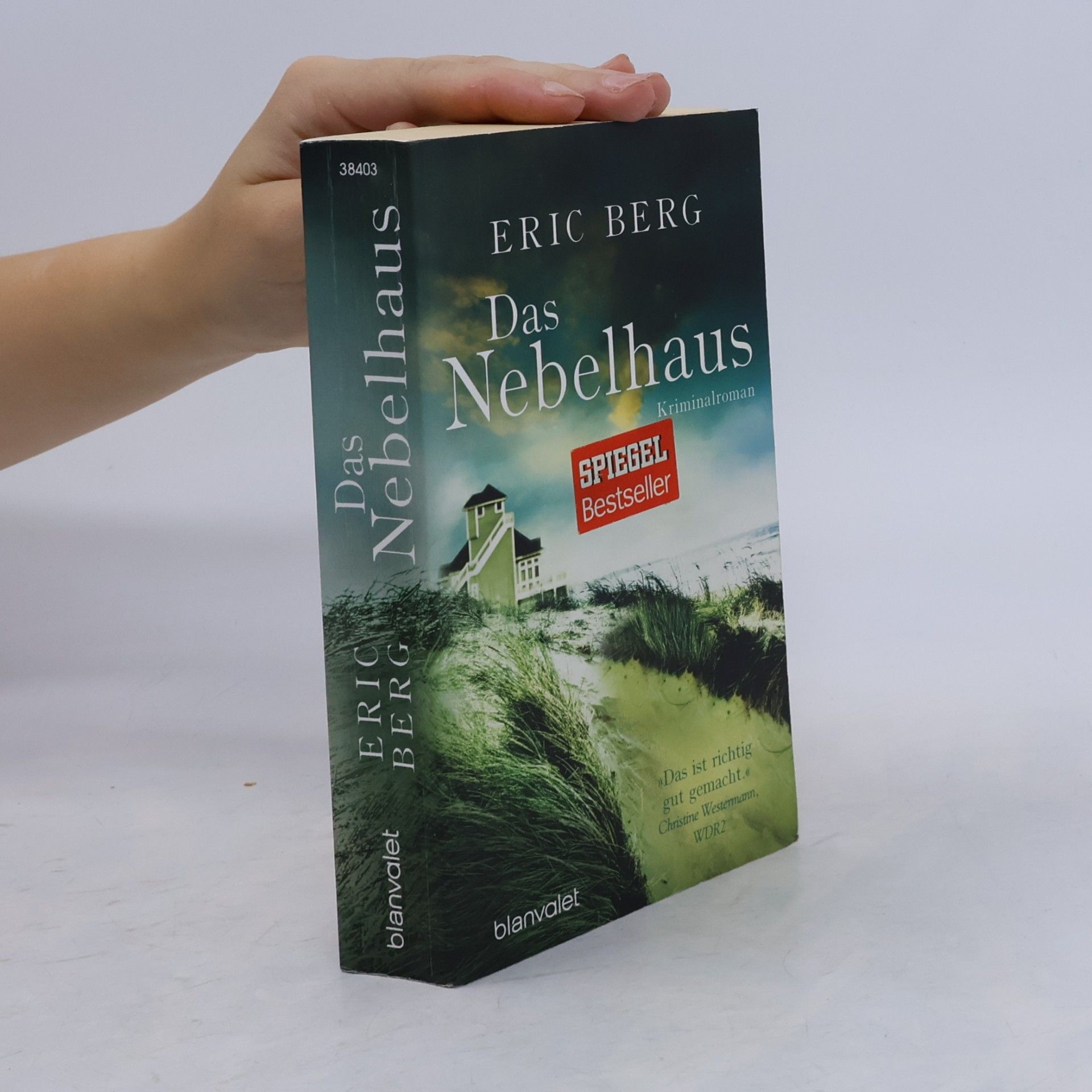 Eric Berg Das Nebelhaus