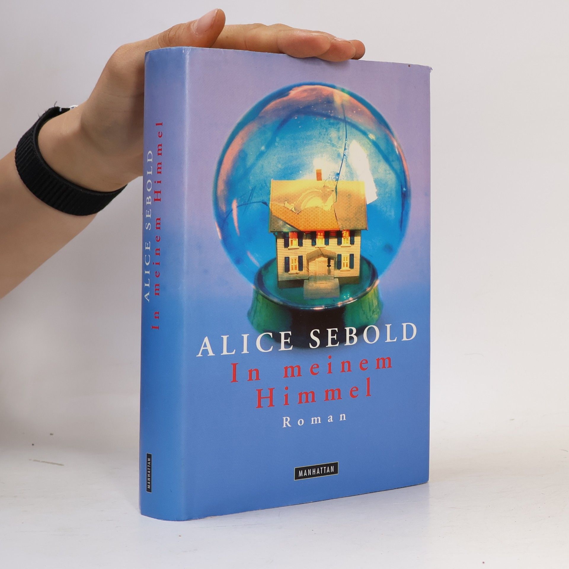 Alice Sebold In meinem Himmel