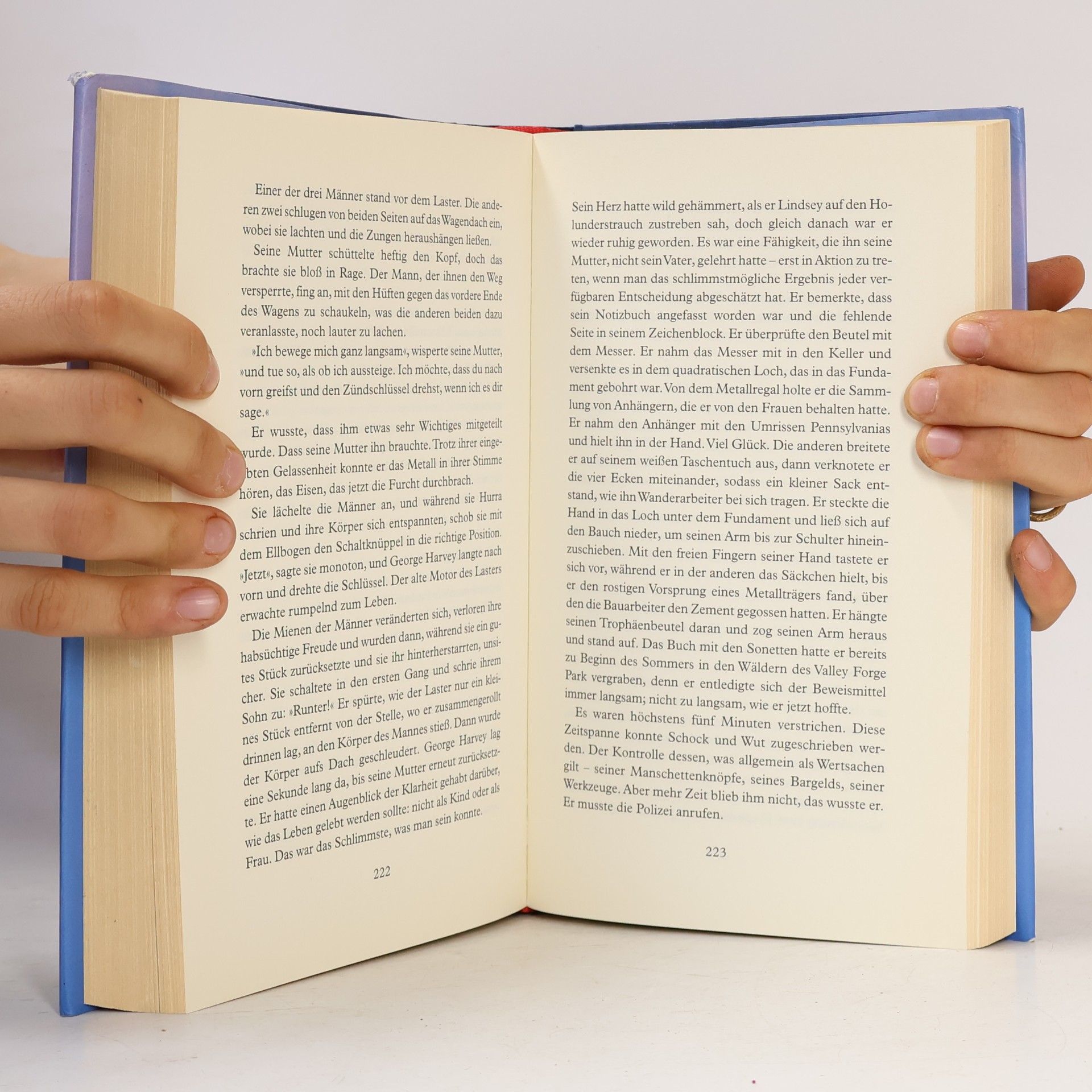Alice Sebold In meinem Himmel