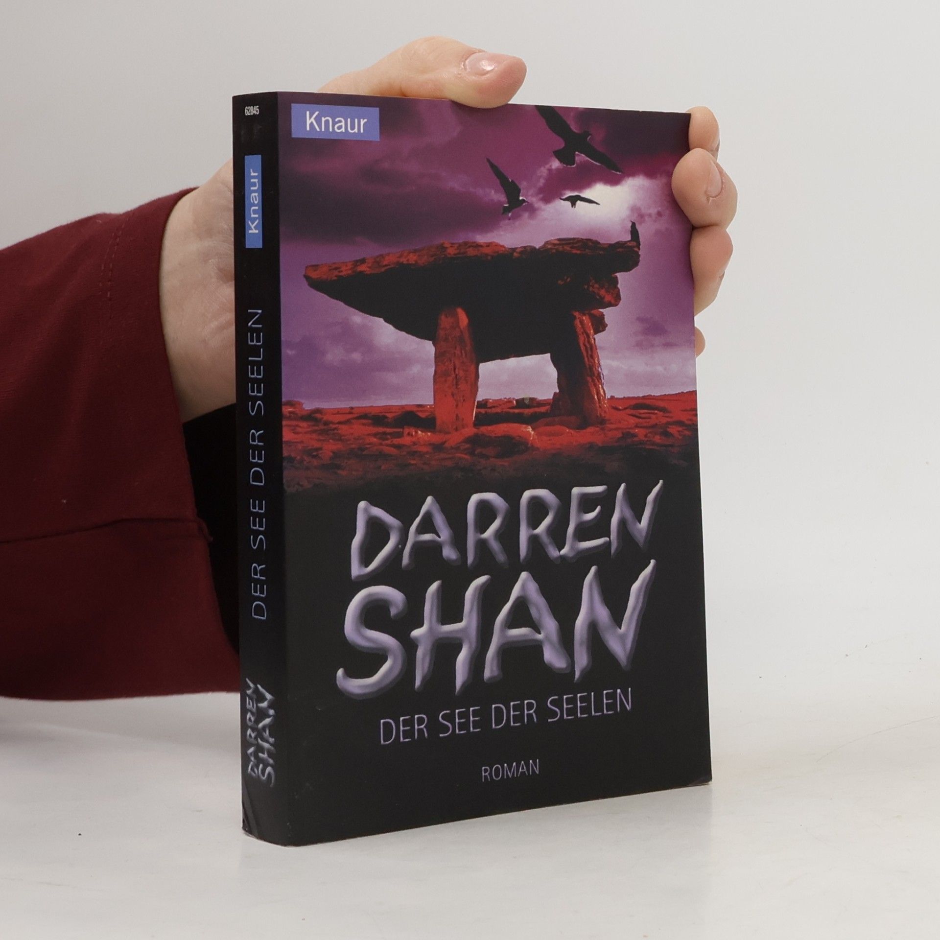 Darren O'Shaughnessy der see der seelen