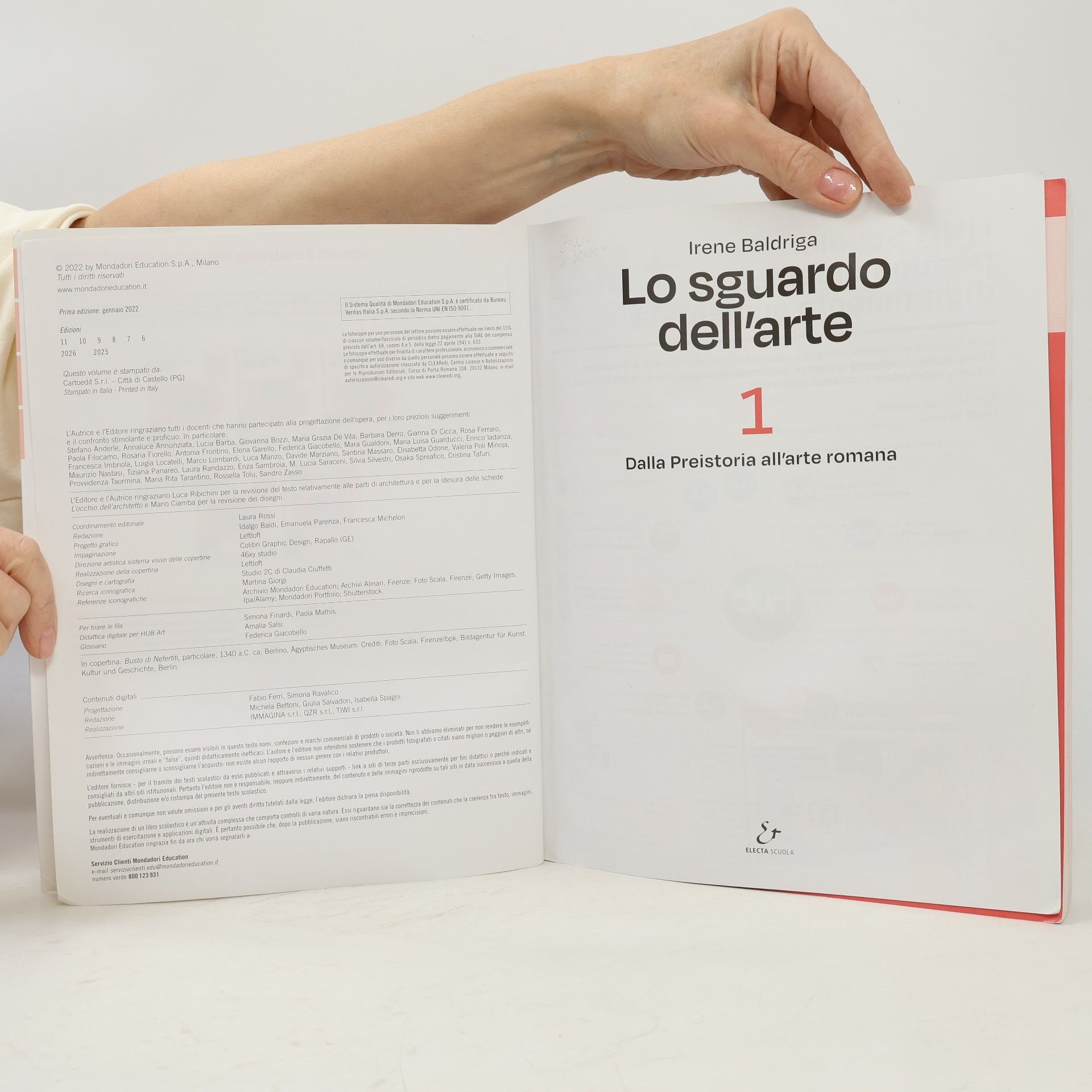Irene Baldriga Lo sguardo dell'arte