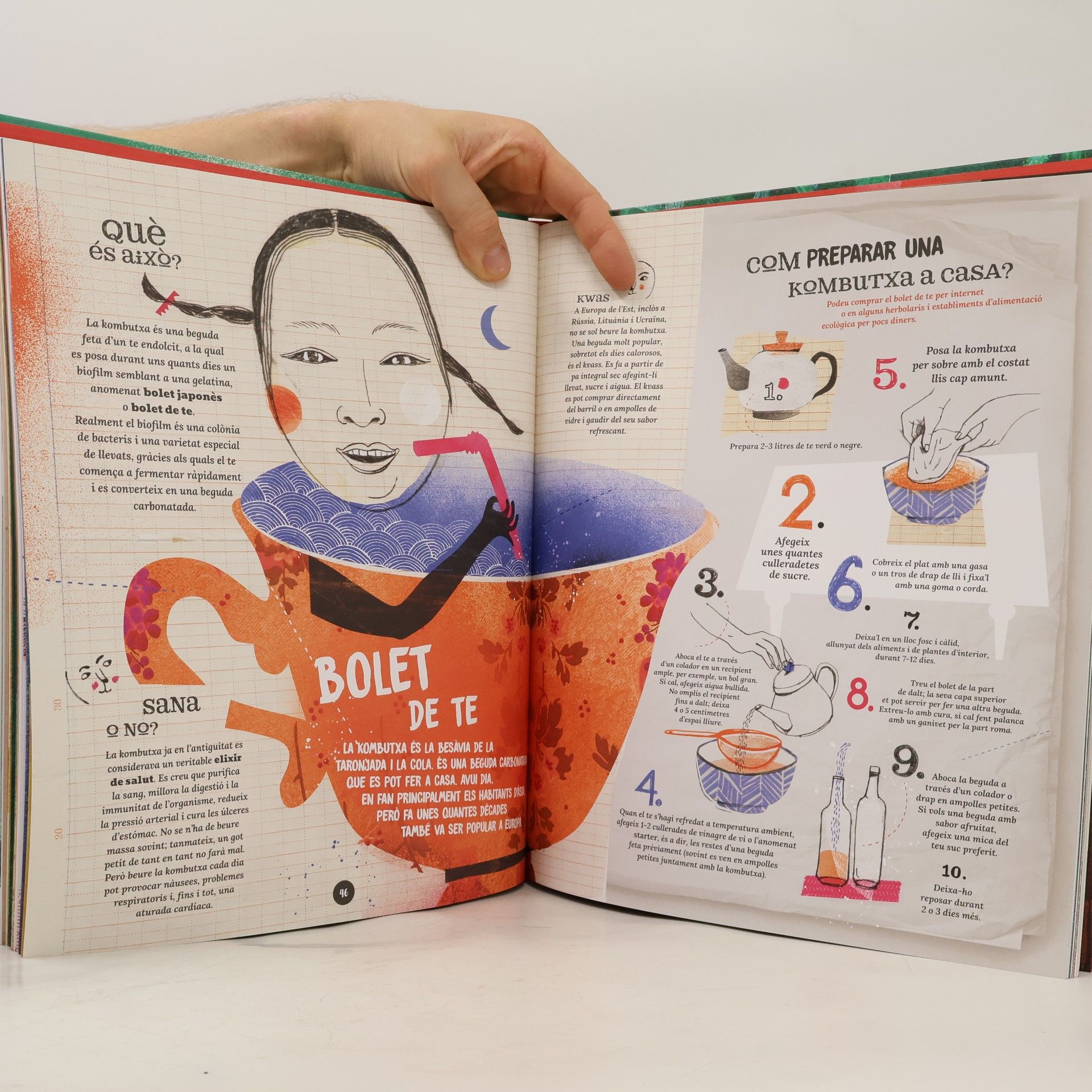 Asia Gwis Altres infantil: Bolets i fongs