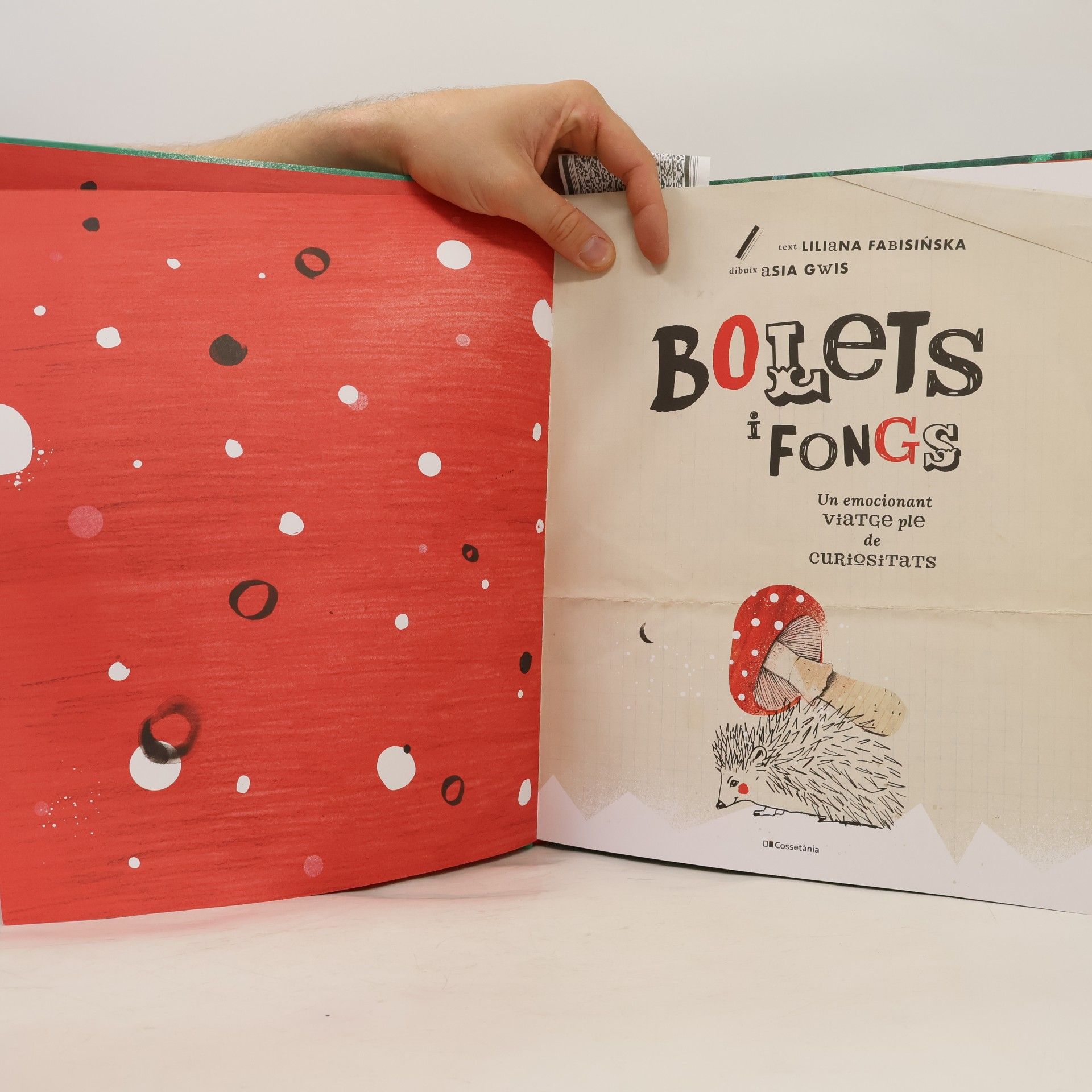 Asia Gwis Altres infantil: Bolets i fongs