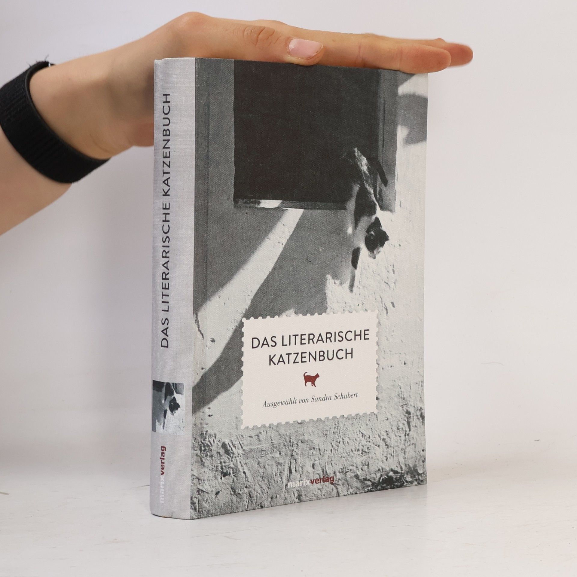 Sandra Schubert Das literarische Katzenbuch