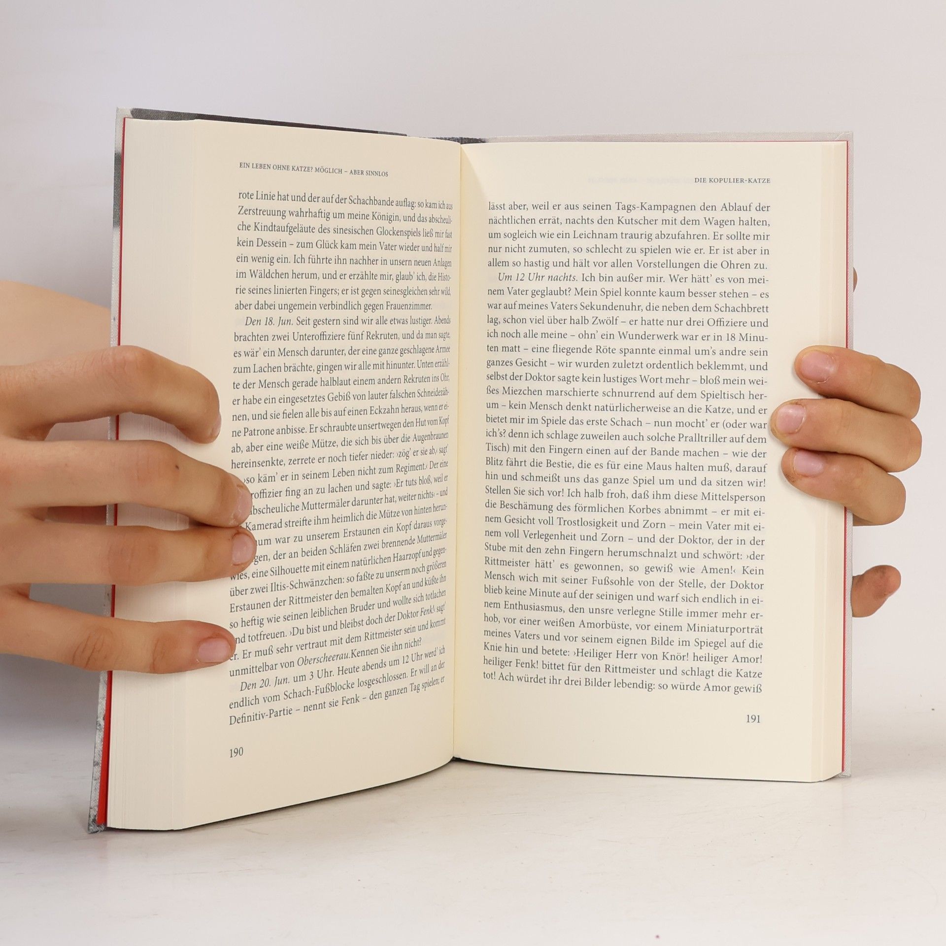 Sandra Schubert Das literarische Katzenbuch
