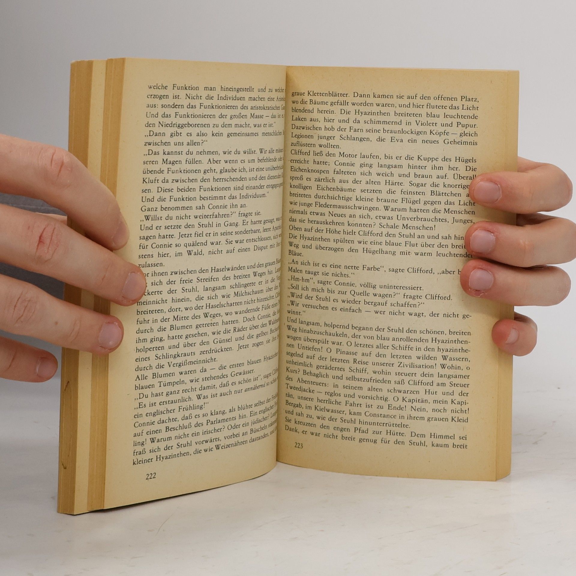 David Herbert Lawrence Lady Chatterley