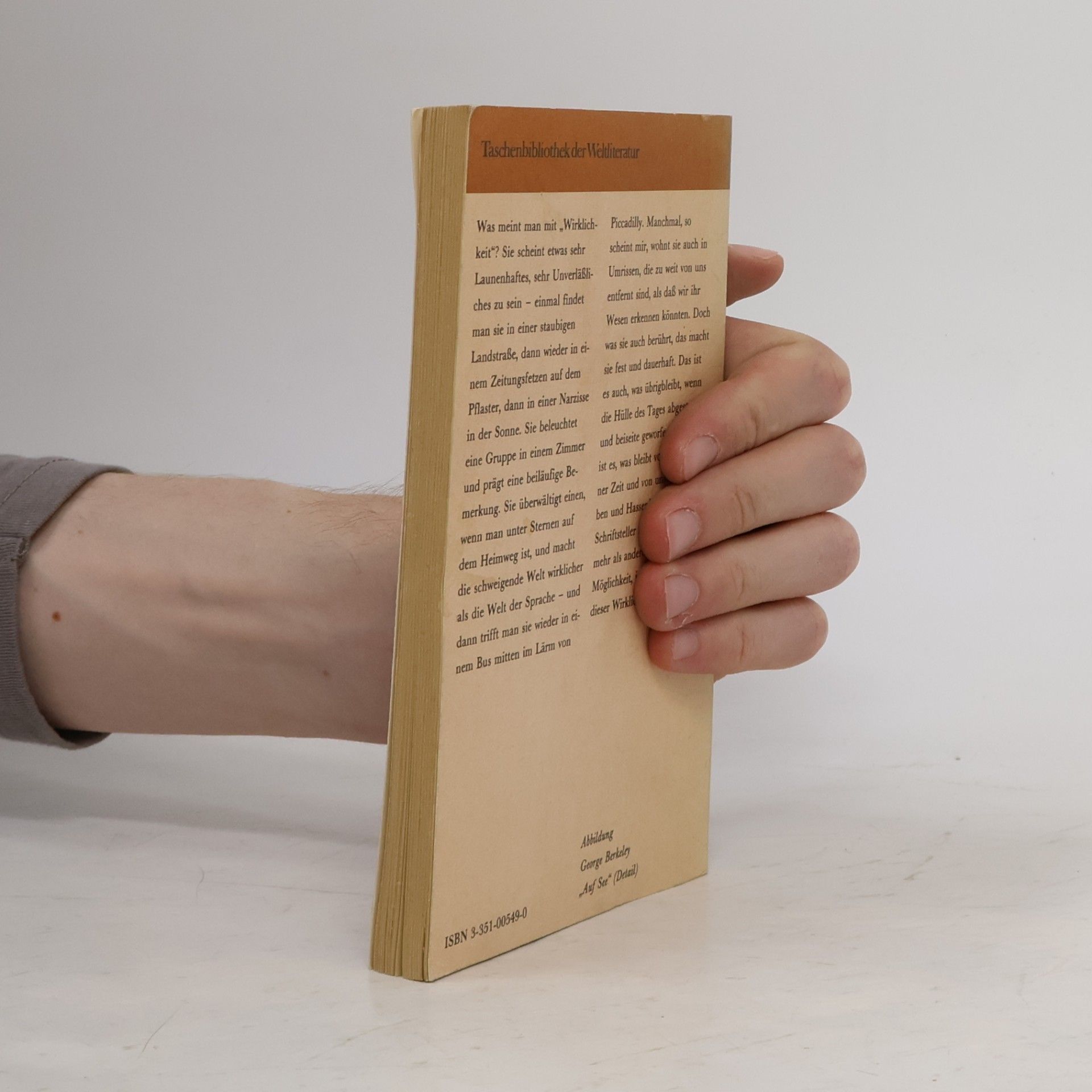 Virginia Woolf Die Fahrt zum Leuchtturm