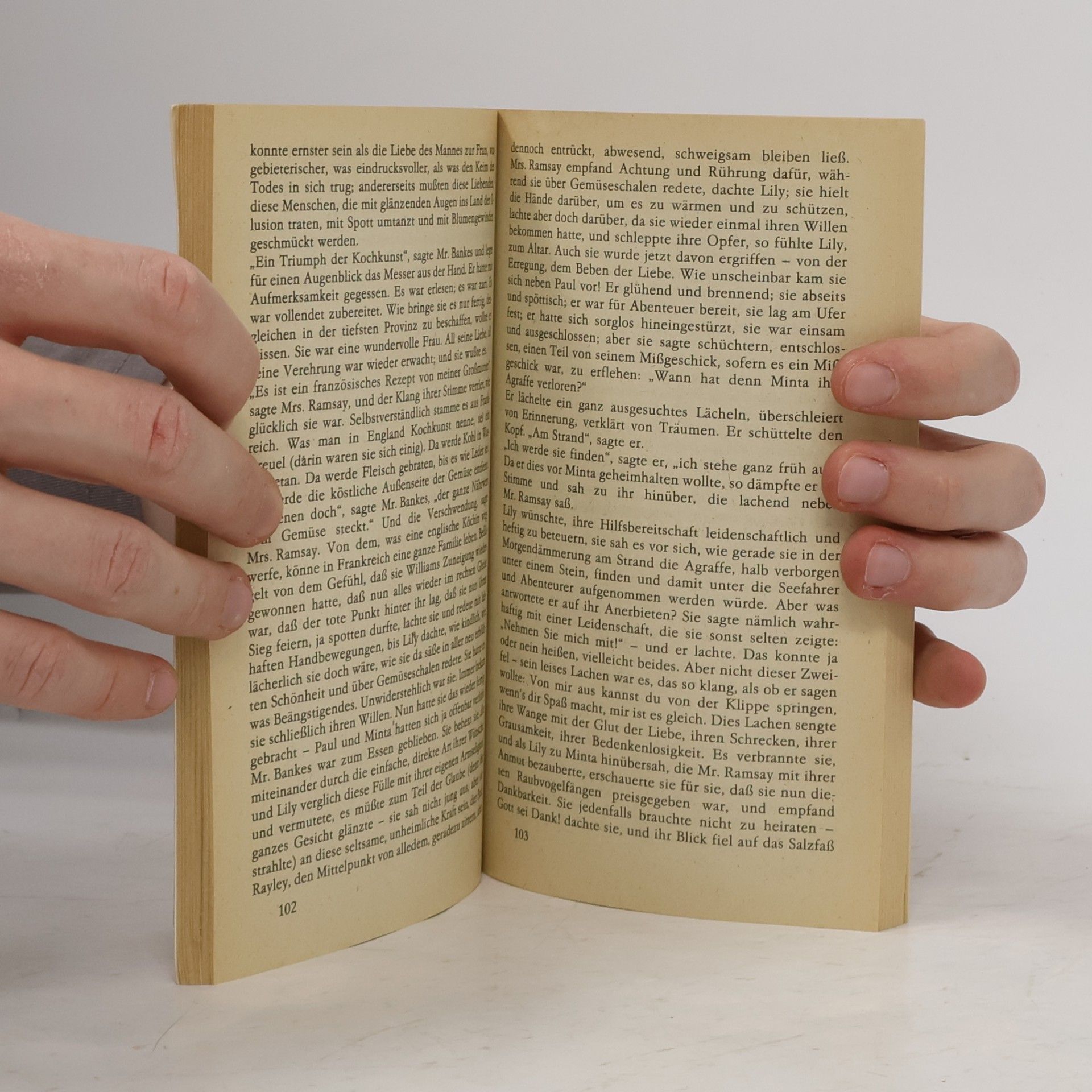 Virginia Woolf Die Fahrt zum Leuchtturm