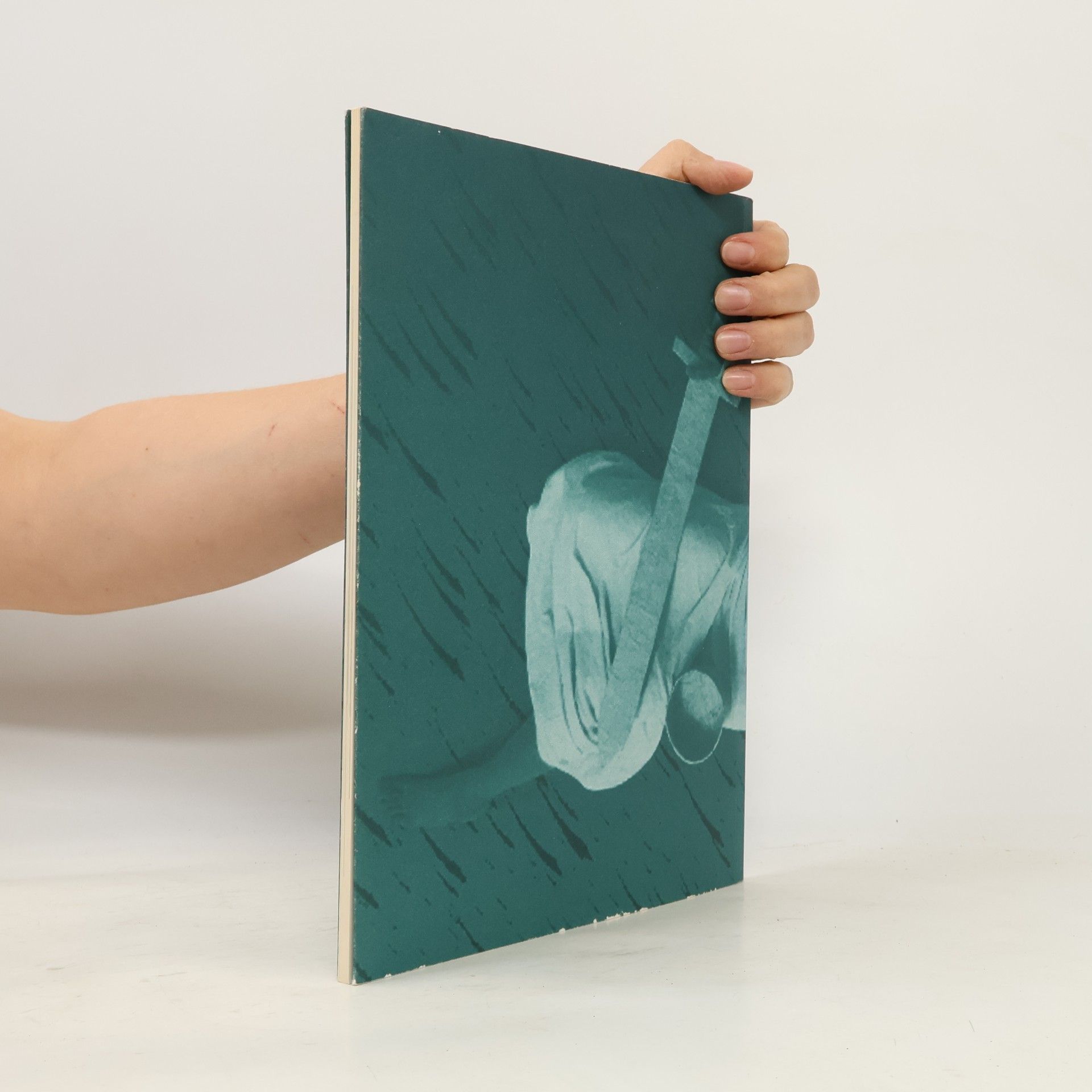 Gülse Birsel Zwischen Fotografie und Malerei
