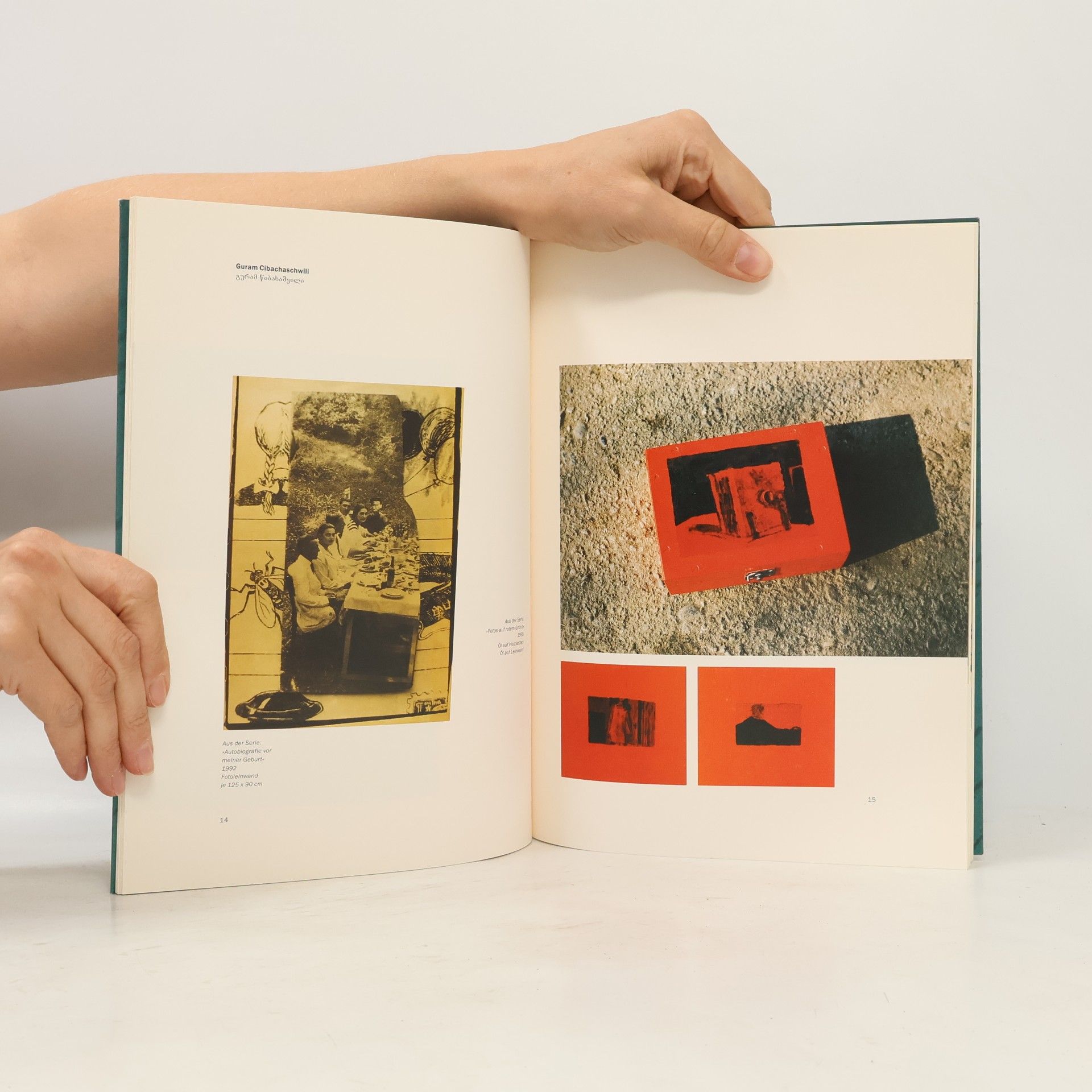 Gülse Birsel Zwischen Fotografie und Malerei