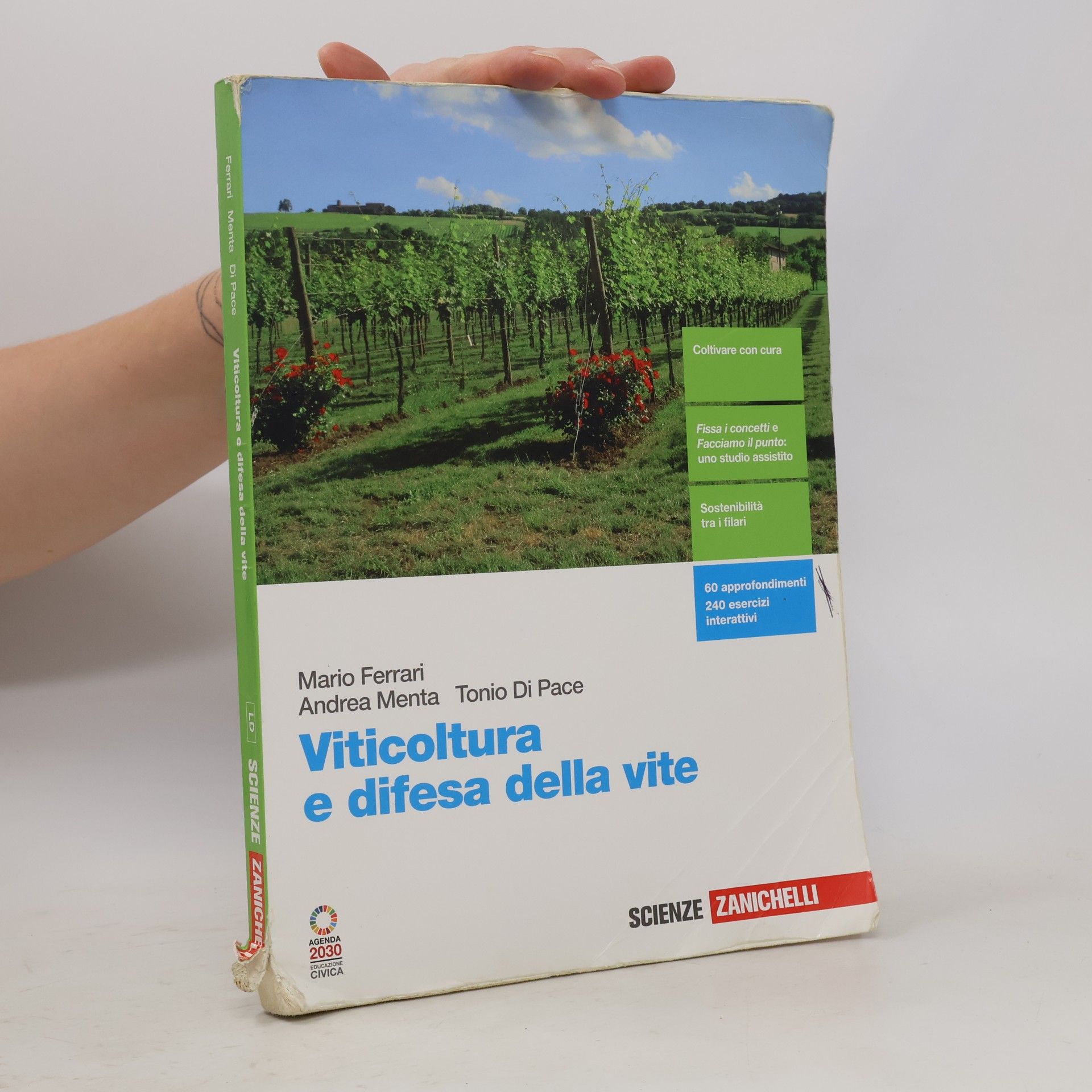 Tonio Di Pace Viticoltura e difesa della vite