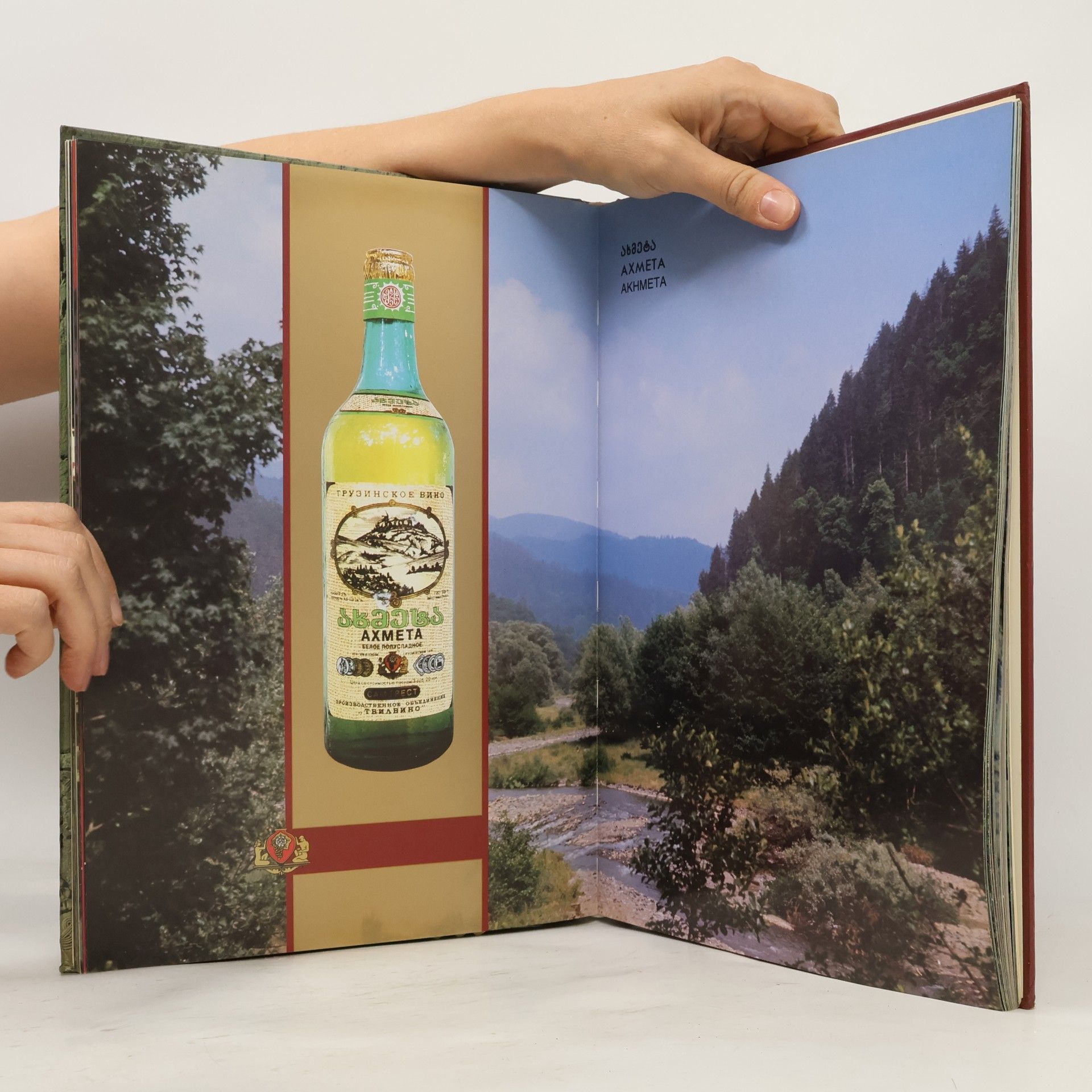 Various authors ქართული ღვინო (Kartuli ghvino) / Грузинское вино (Gruzinskoye vino) / Georgian wine