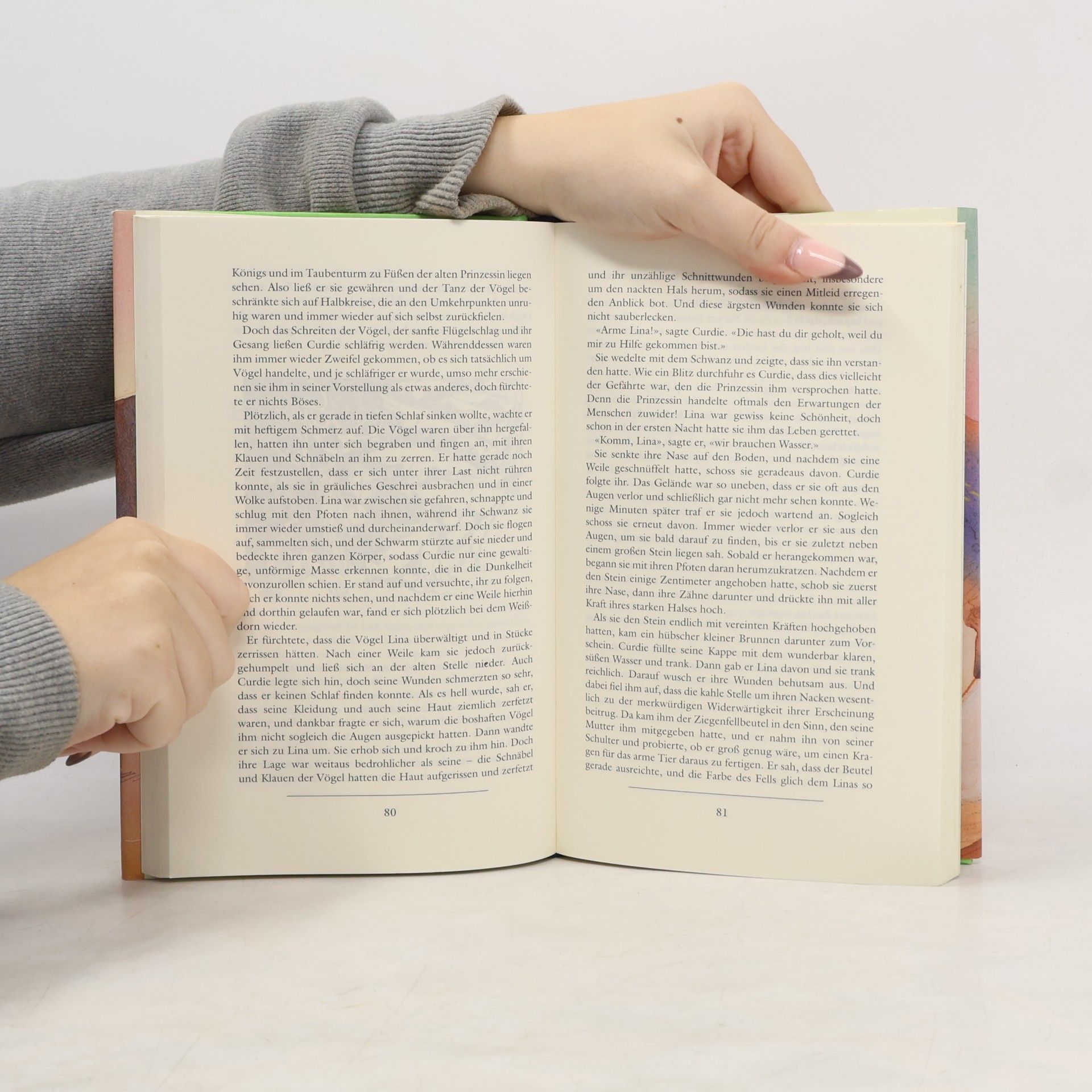 George MacDonald Die Prinzessin und Curdie