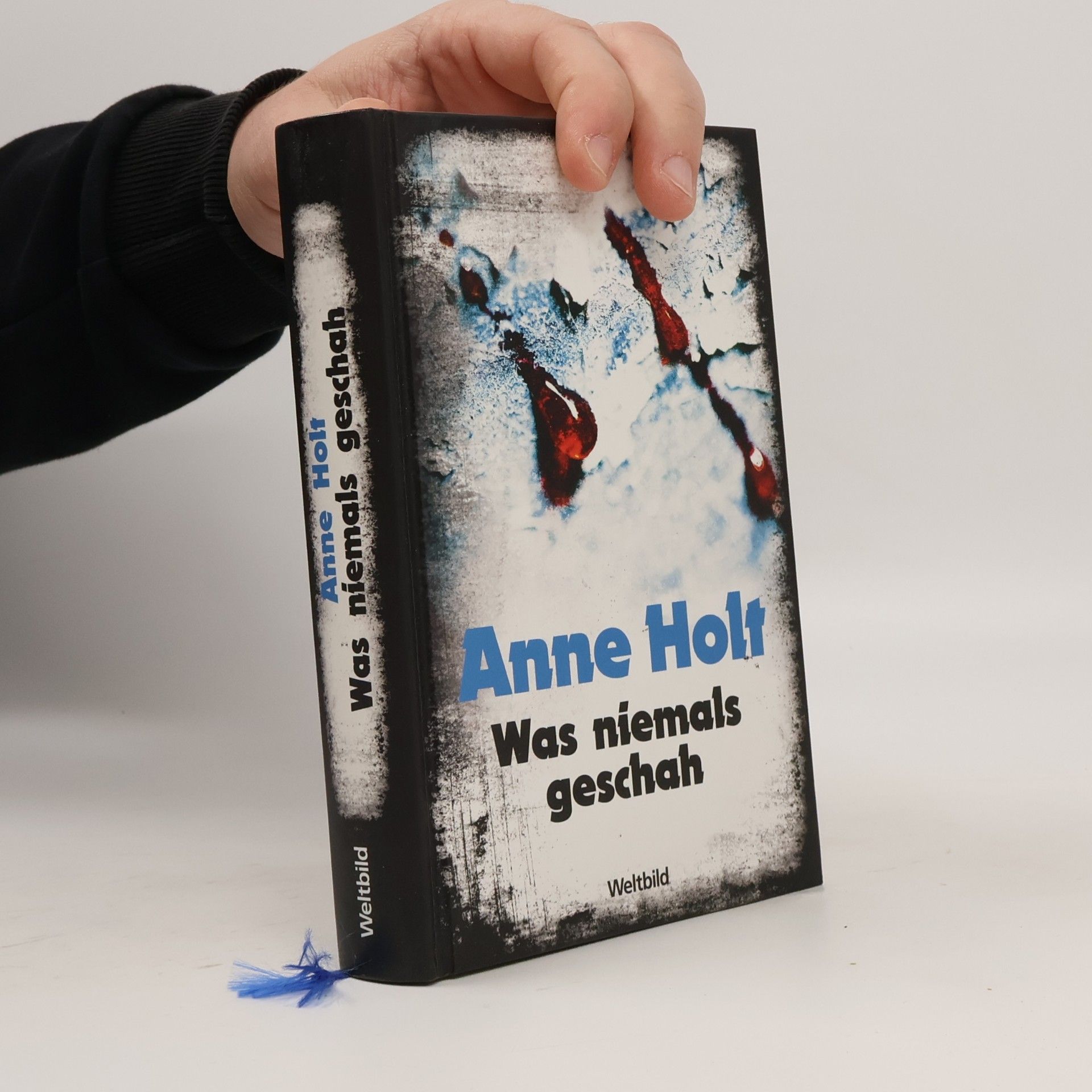 Anne Holt Was niemals geschah