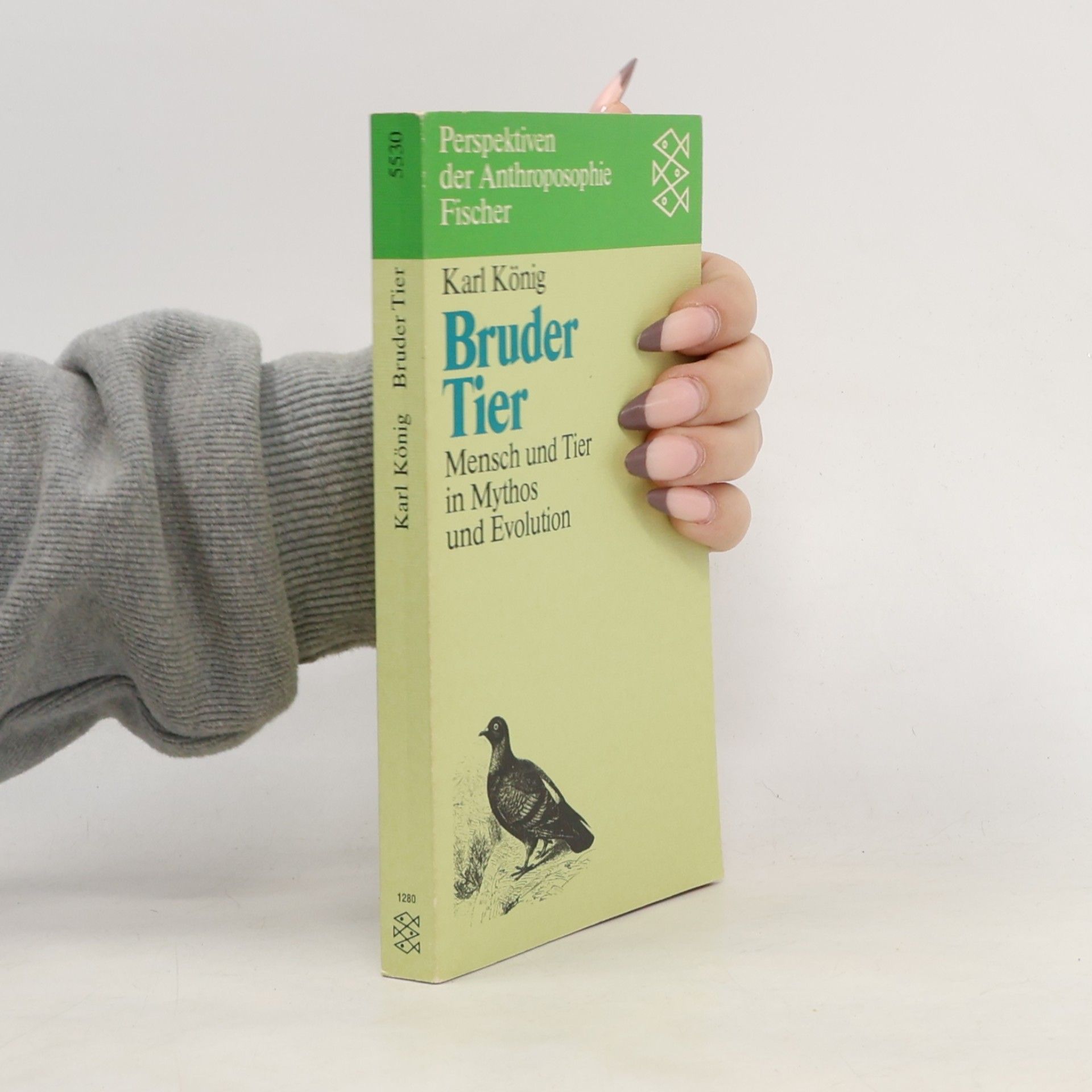 Bruder Tier