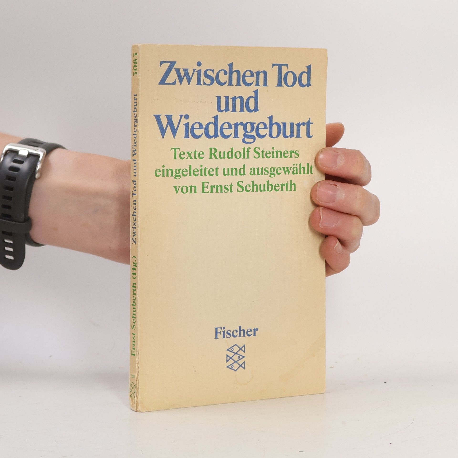 Zwischen Tod und Wiedergeburt