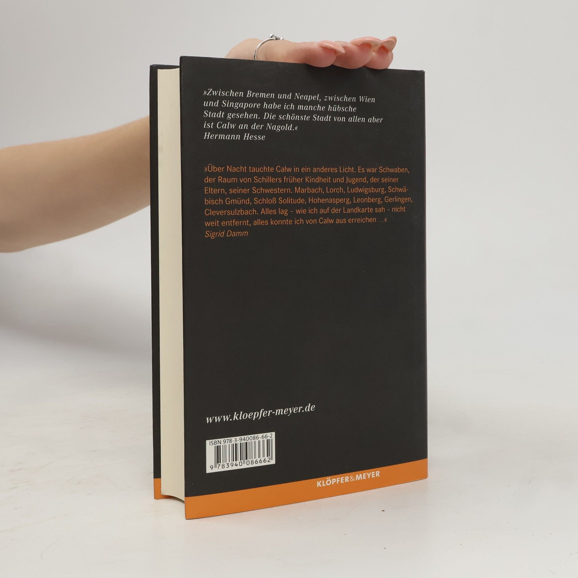 Friedrich Pfäfflin "Die schönste Stadt ist Calw an der Nagold"