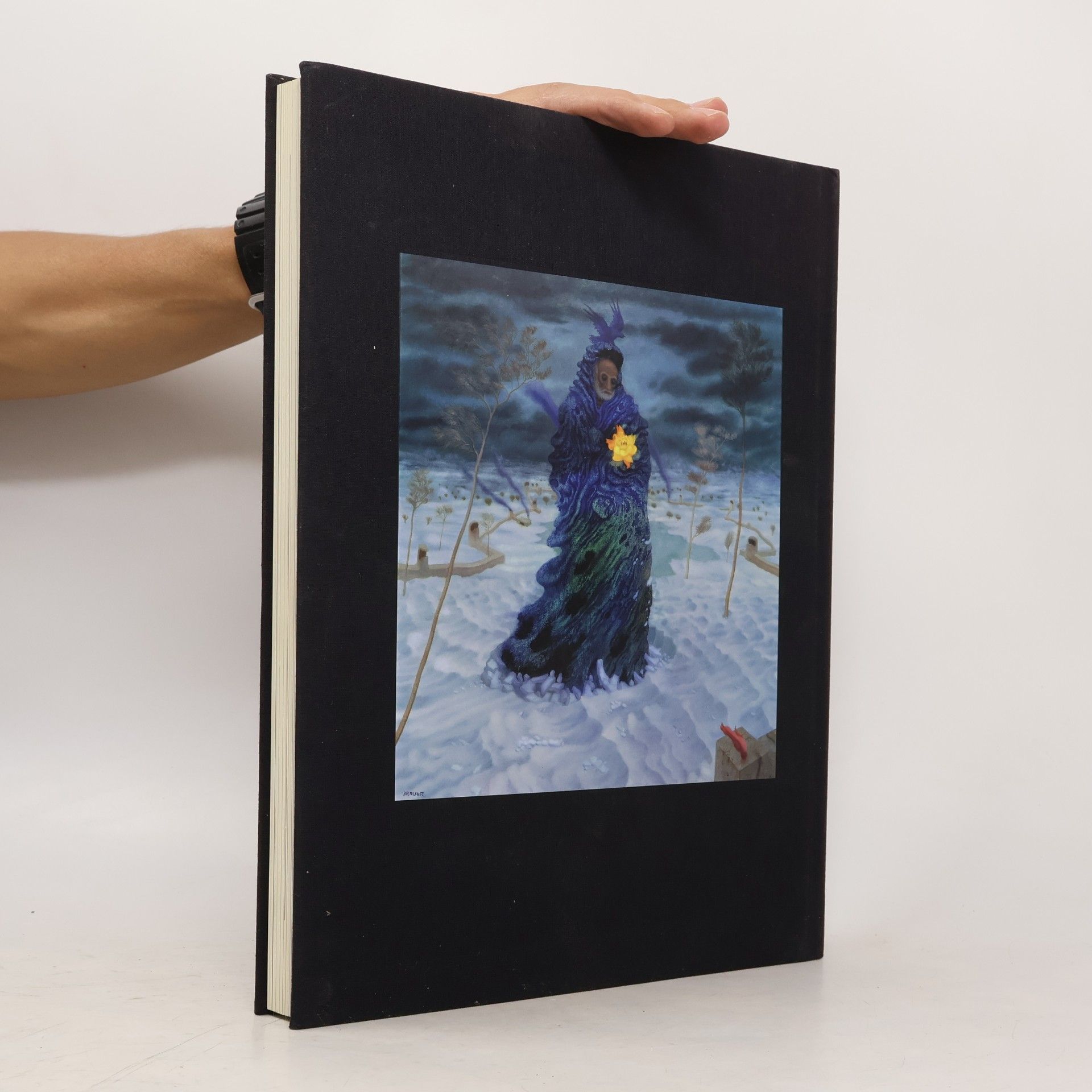 Arik Brauer Brauer - schieß nicht auf die blaue Blume! ; [anlässlich der Ausstellung Arik Brauer, Schieß nicht auf die Blaue Blume ...!] ; KunstHausWien, 11. September 2003 - 18. Januar 2004