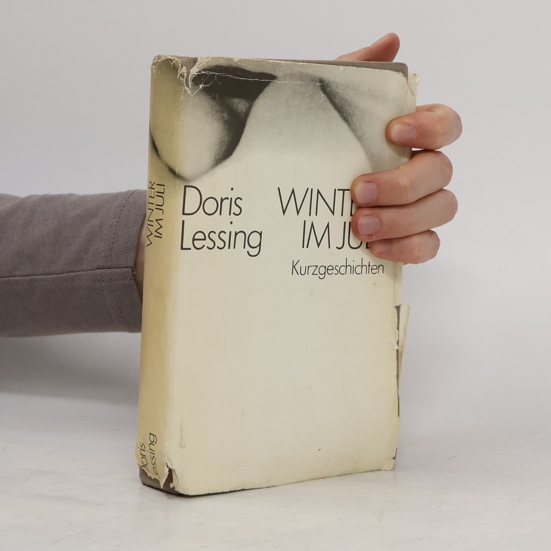 Doris Lessing Winter im Juli. Kurzgeschichten