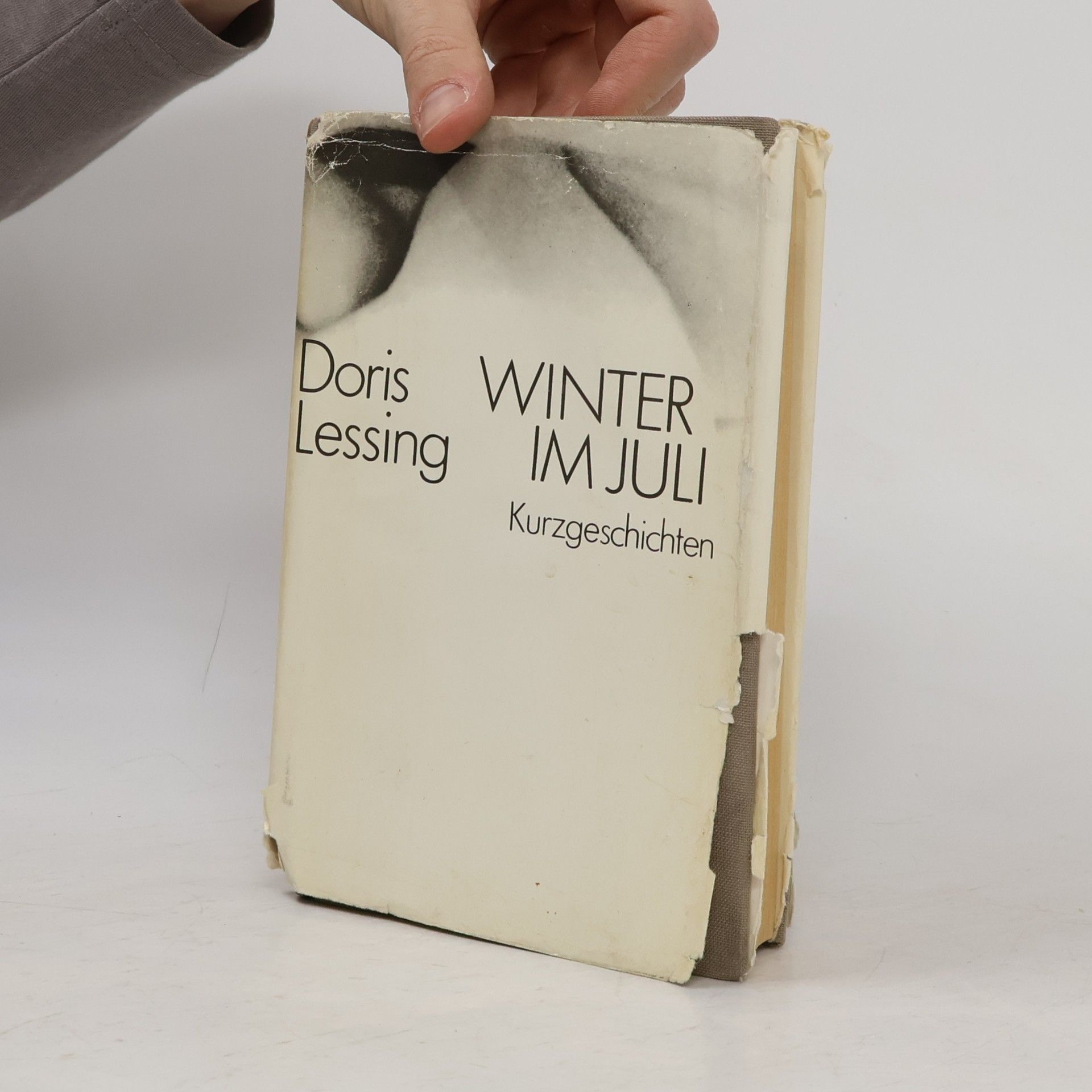 Doris Lessing Winter im Juli. Kurzgeschichten