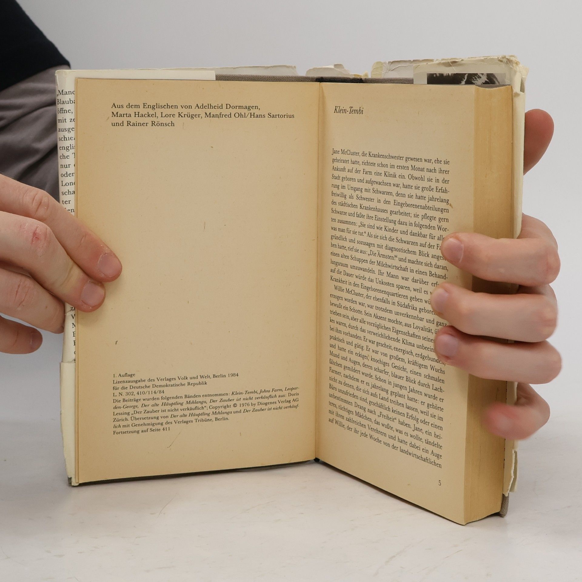 Doris Lessing Winter im Juli. Kurzgeschichten