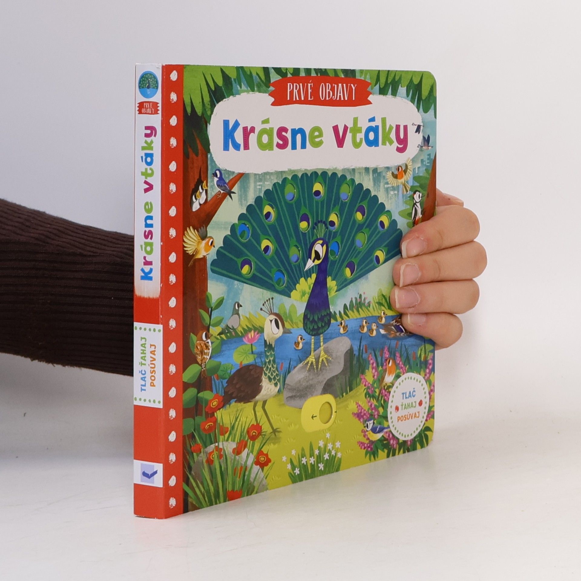Autorenkollektiv Krásne vtáky