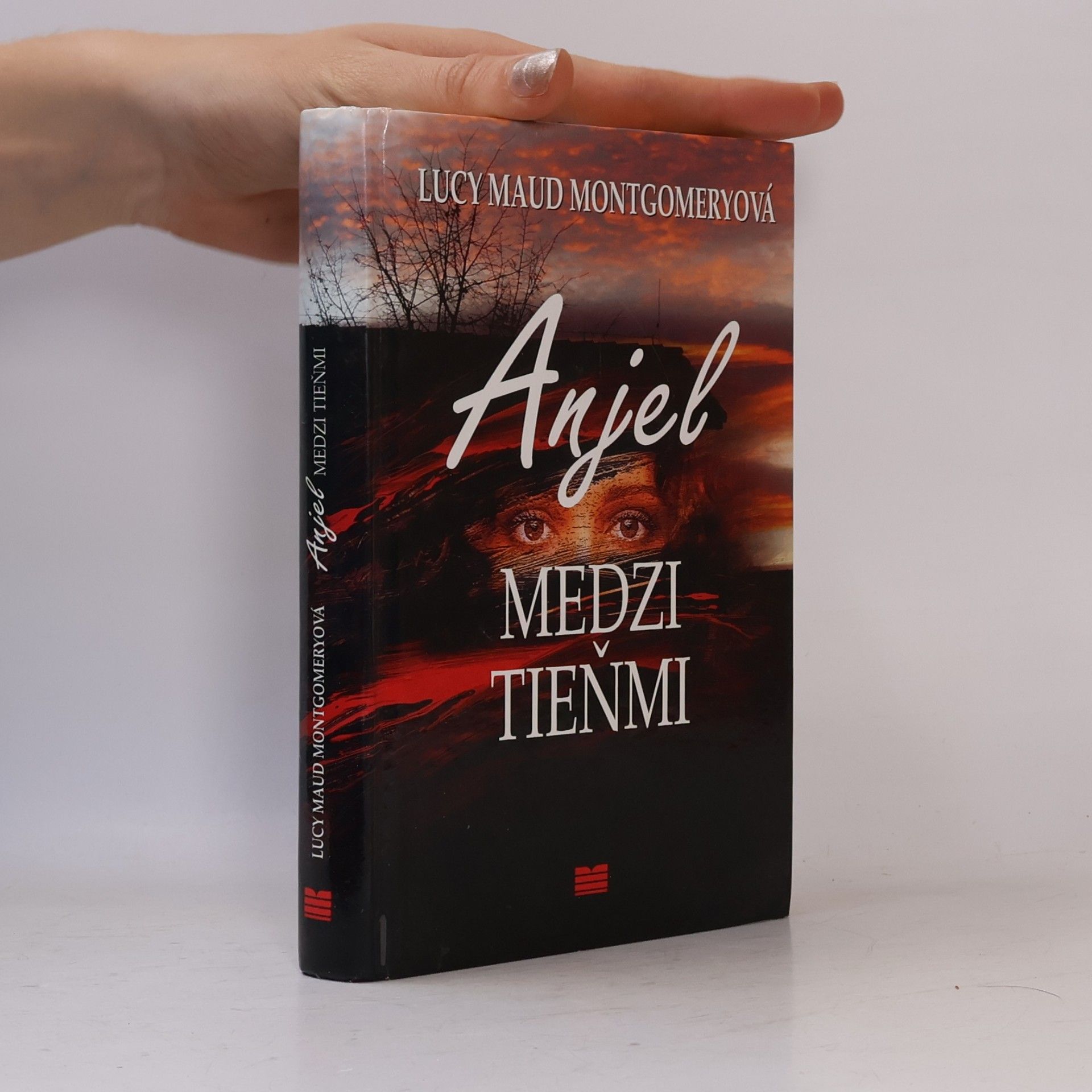 Anjel medzi tieňmi