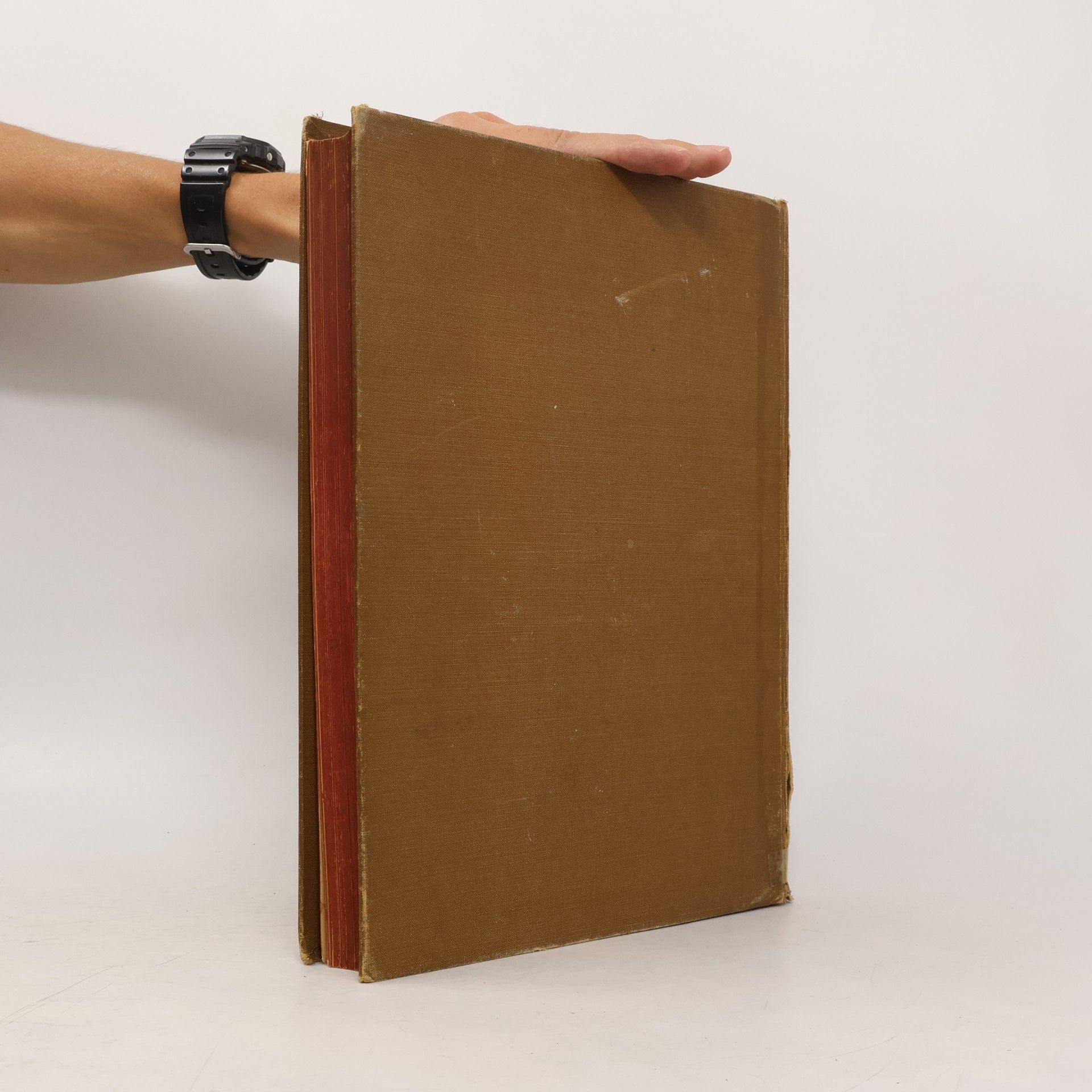 Various authors Oesterreichs Hort 1