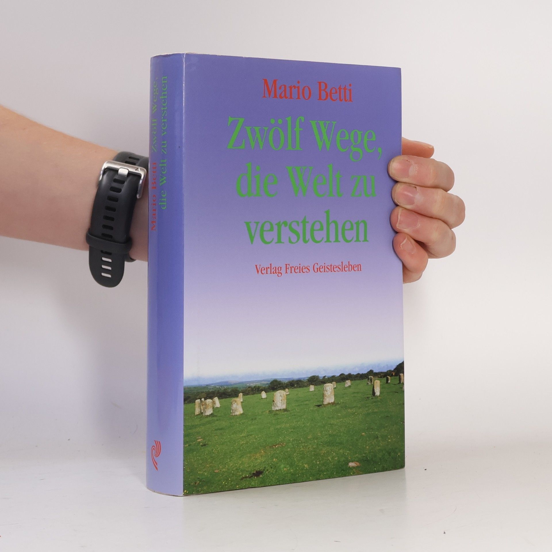 Mario Betti Zwölf Wege, die Welt zu verstehen