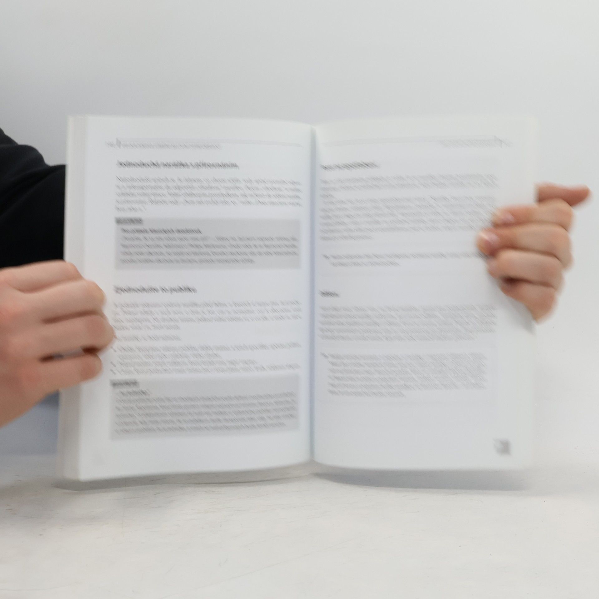 Matthias Nöllke Velká kniha umění slovní sebeobrany