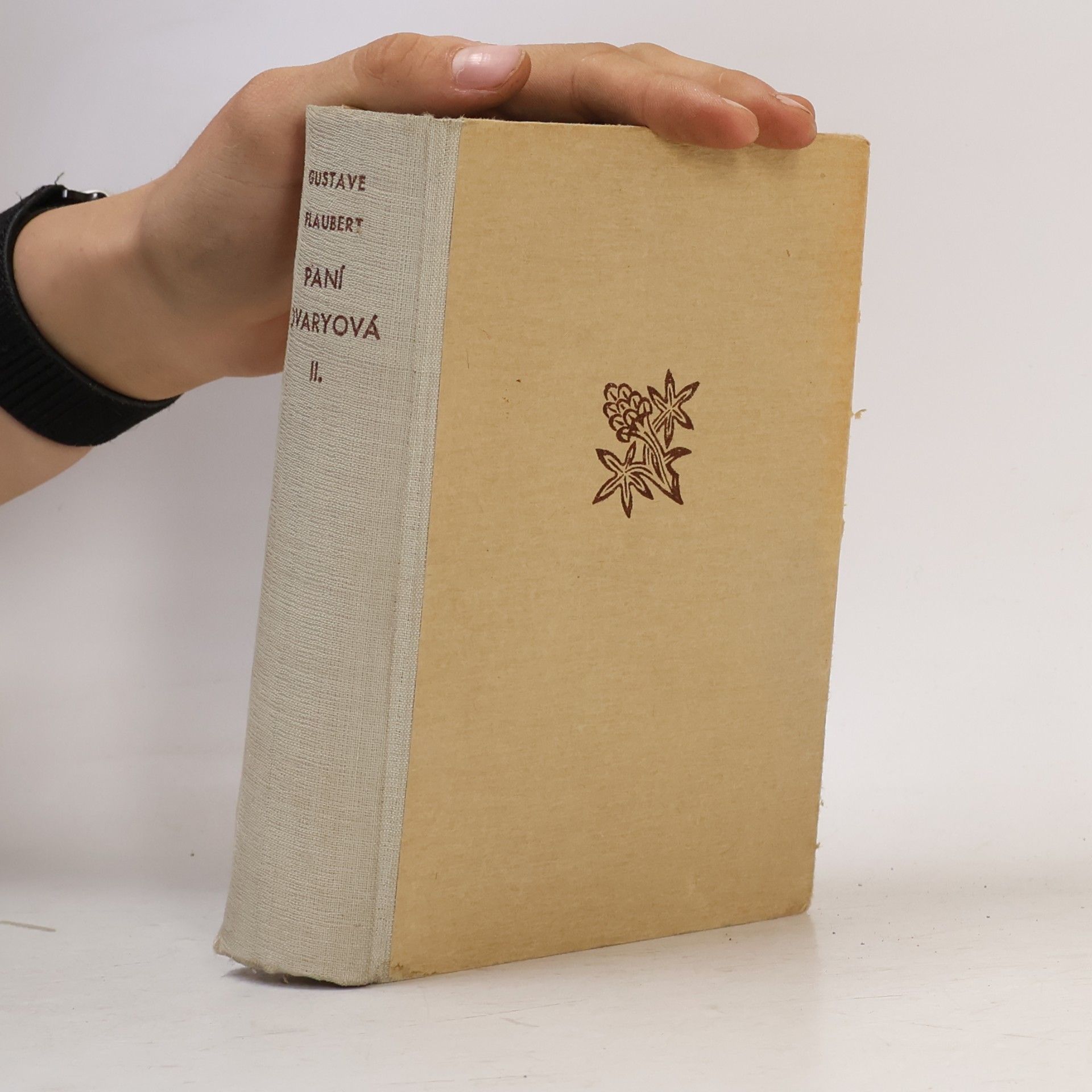 Gustave Flaubert Korespondence II.