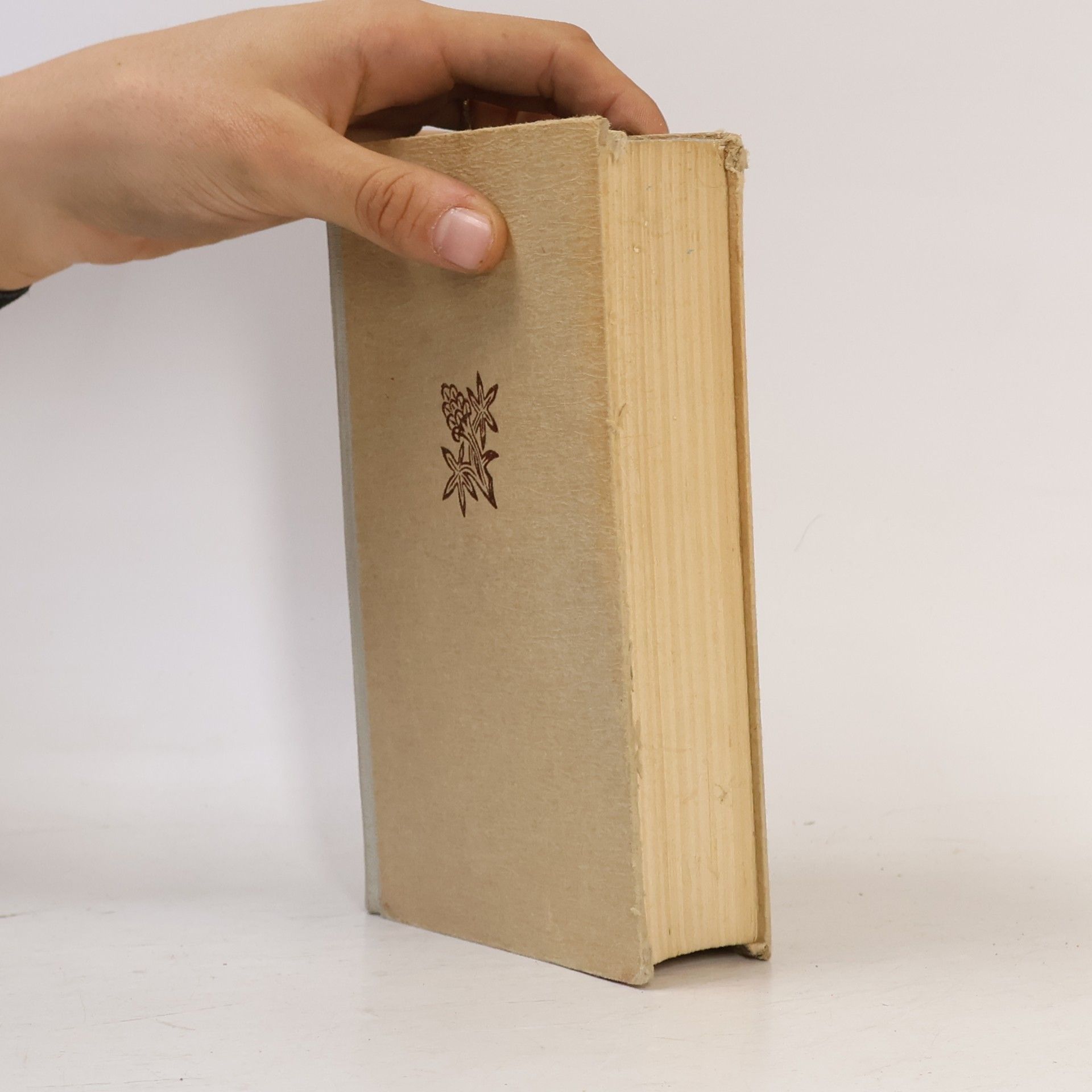 Gustave Flaubert Korespondence II.