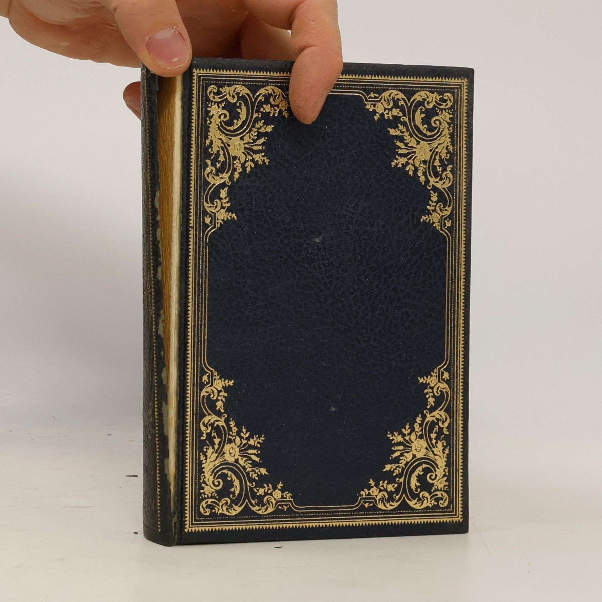 Lew Nikolajewitsch Tolstoi Anna Karenina I