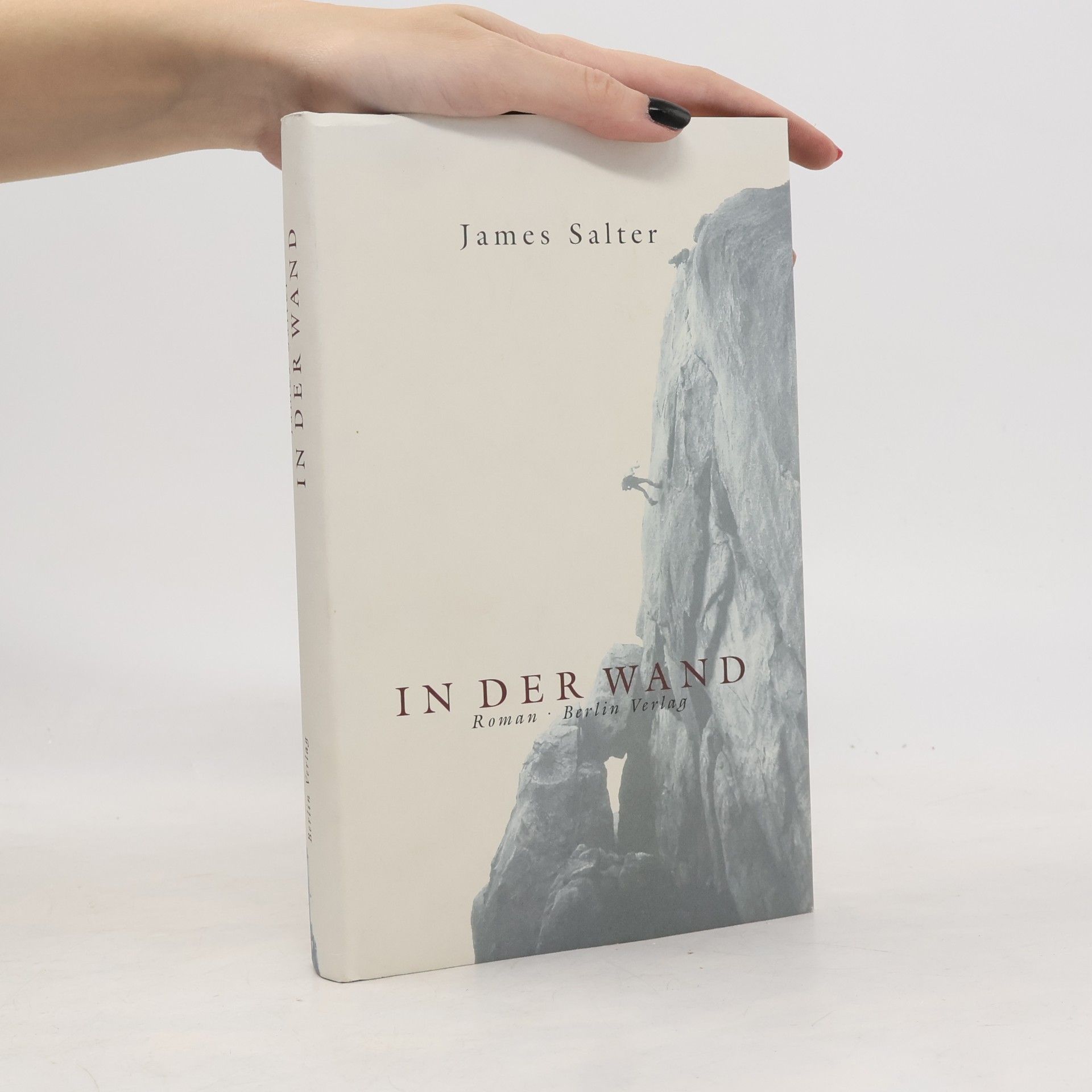 James Salter In der Wand