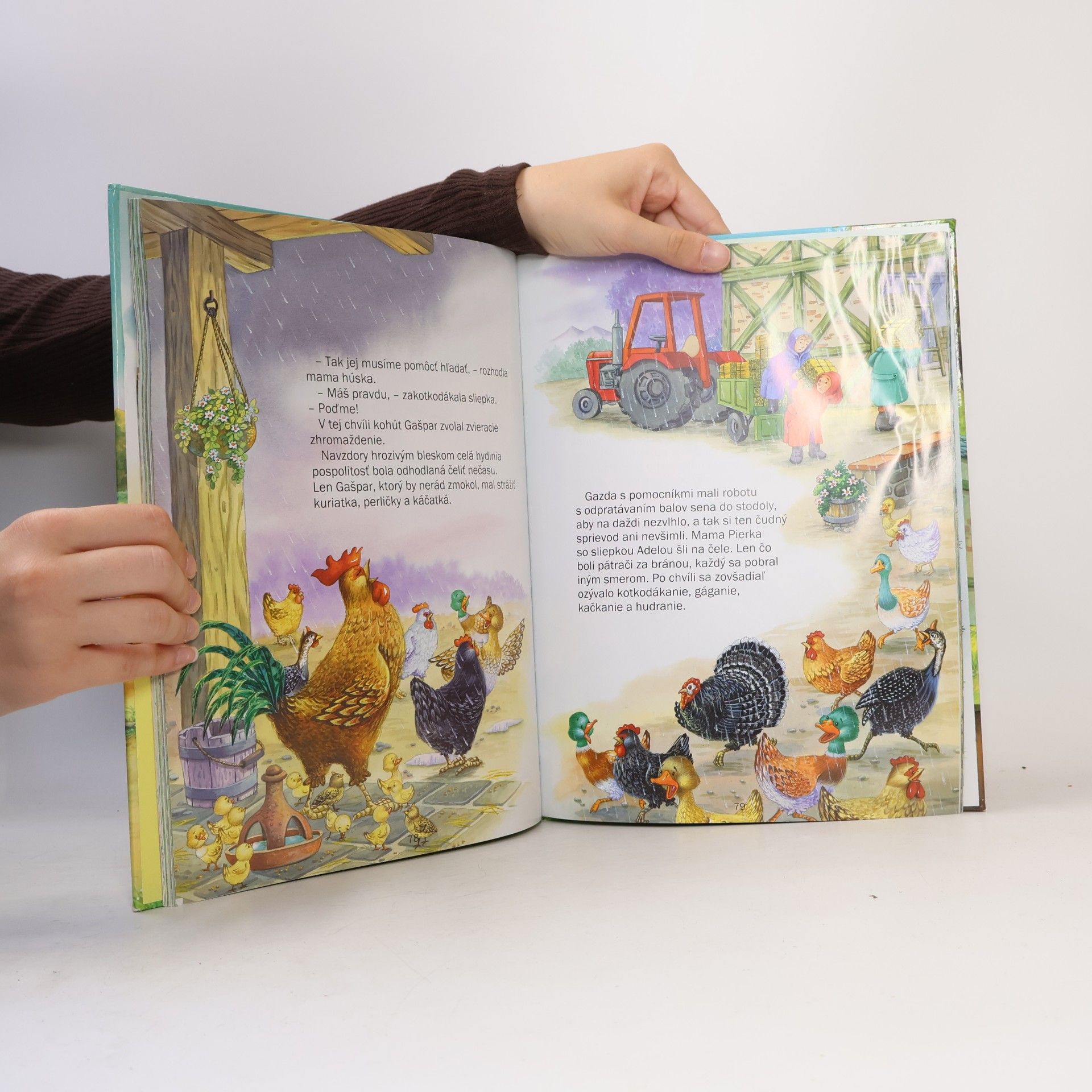 Autores varios Na gazdovskom dvore
