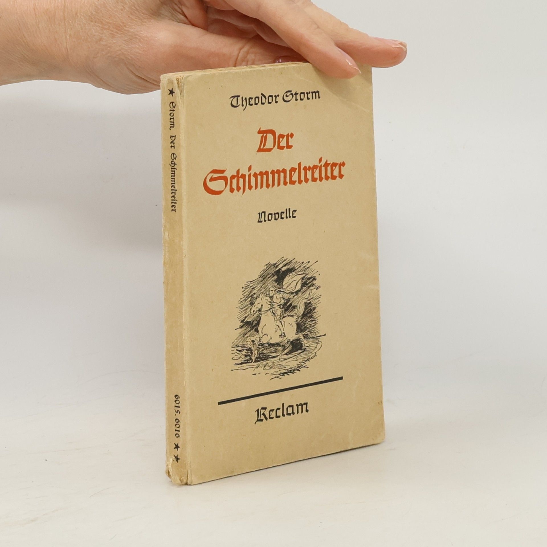 Der Schimmelreiter
