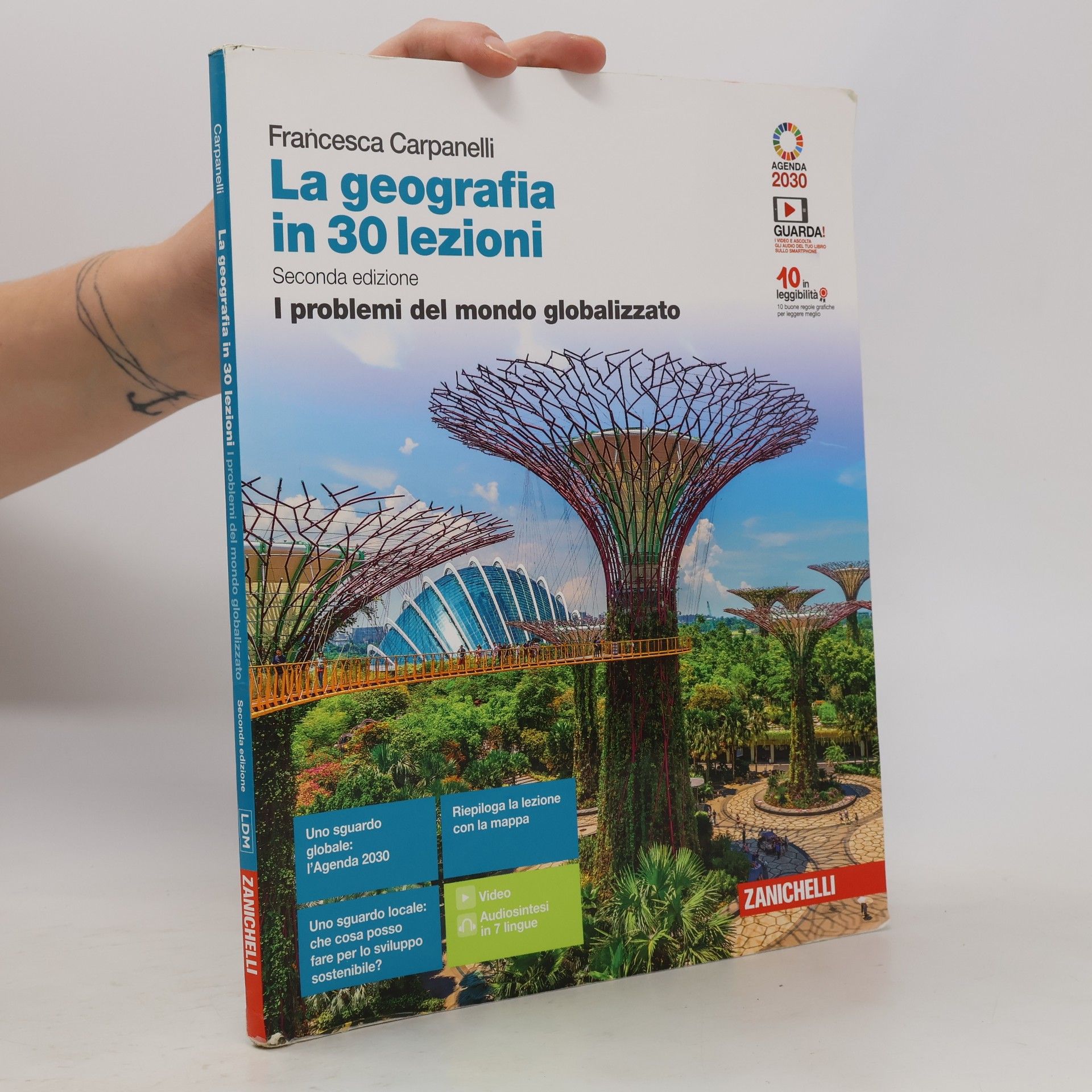 Carpanelli Francesca La geografia in 30 lezioni. I problemi del mondo globalizzato