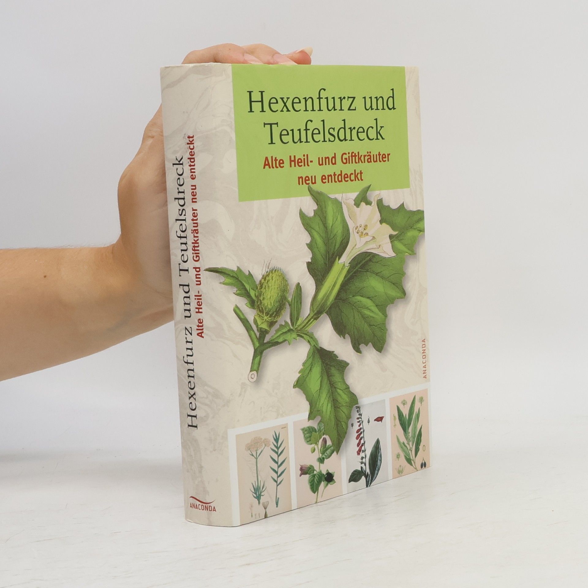 Gerd Haerkötter Hexenfurz und Teufelsdreck