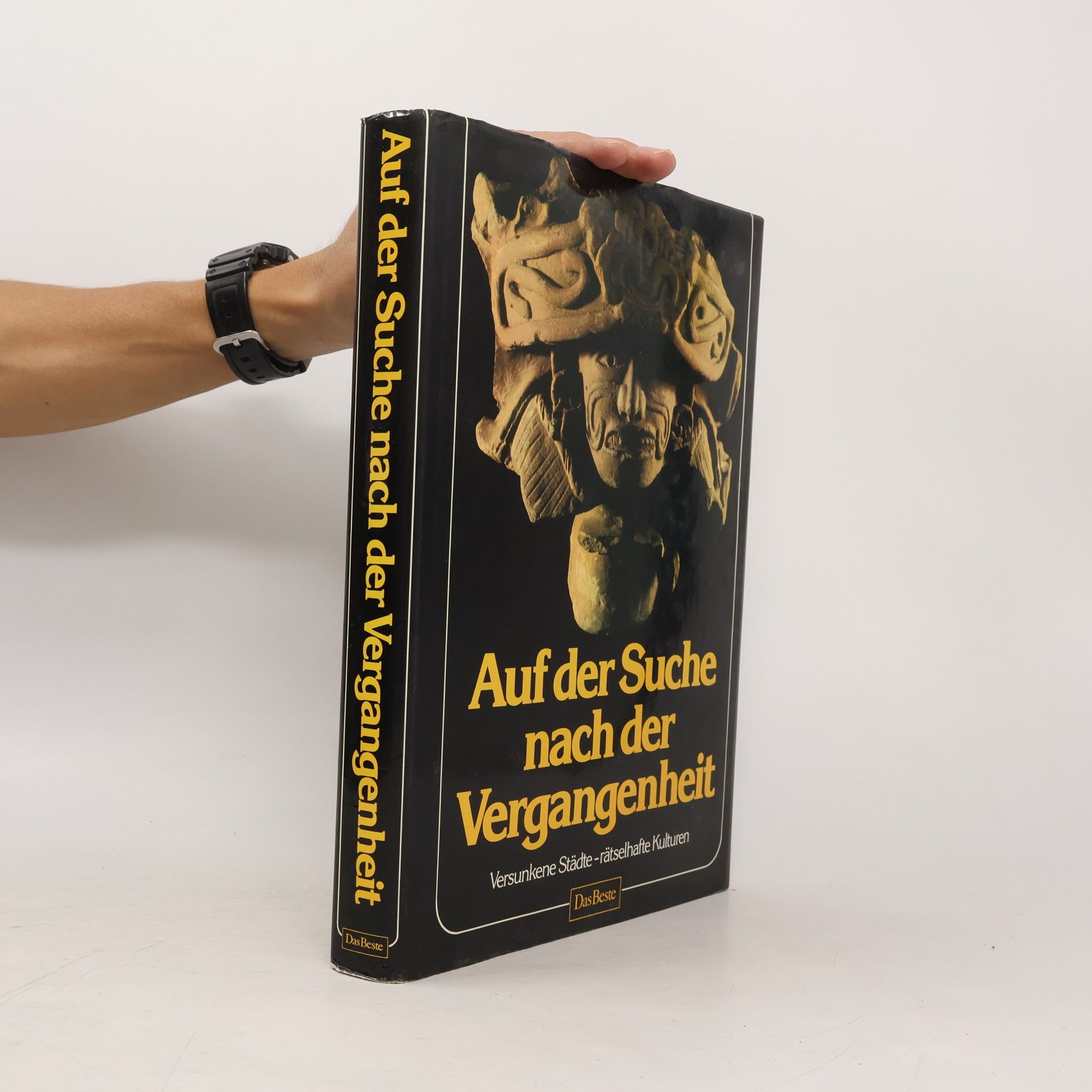 Sybille A. Rott Illfeld Auf der Suche nach der Vergangenheit