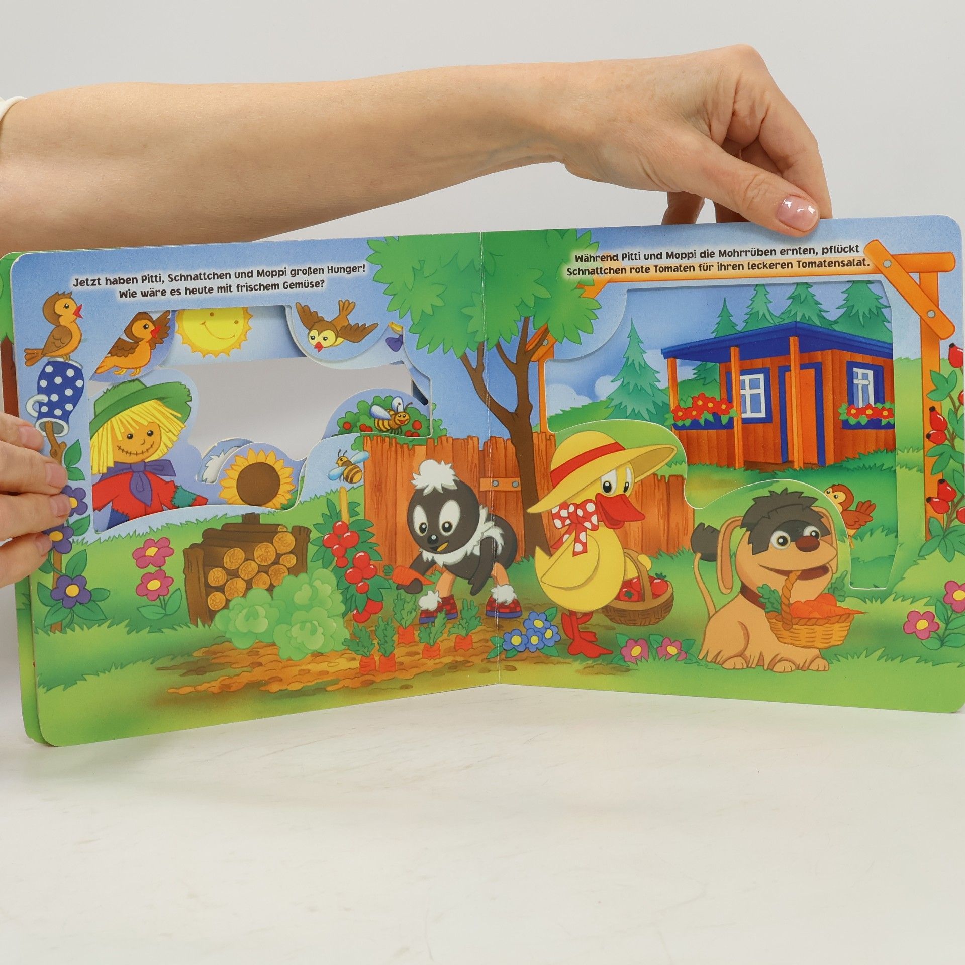 Martina Reichert Golde Pittiplatsch Fensterbuch
