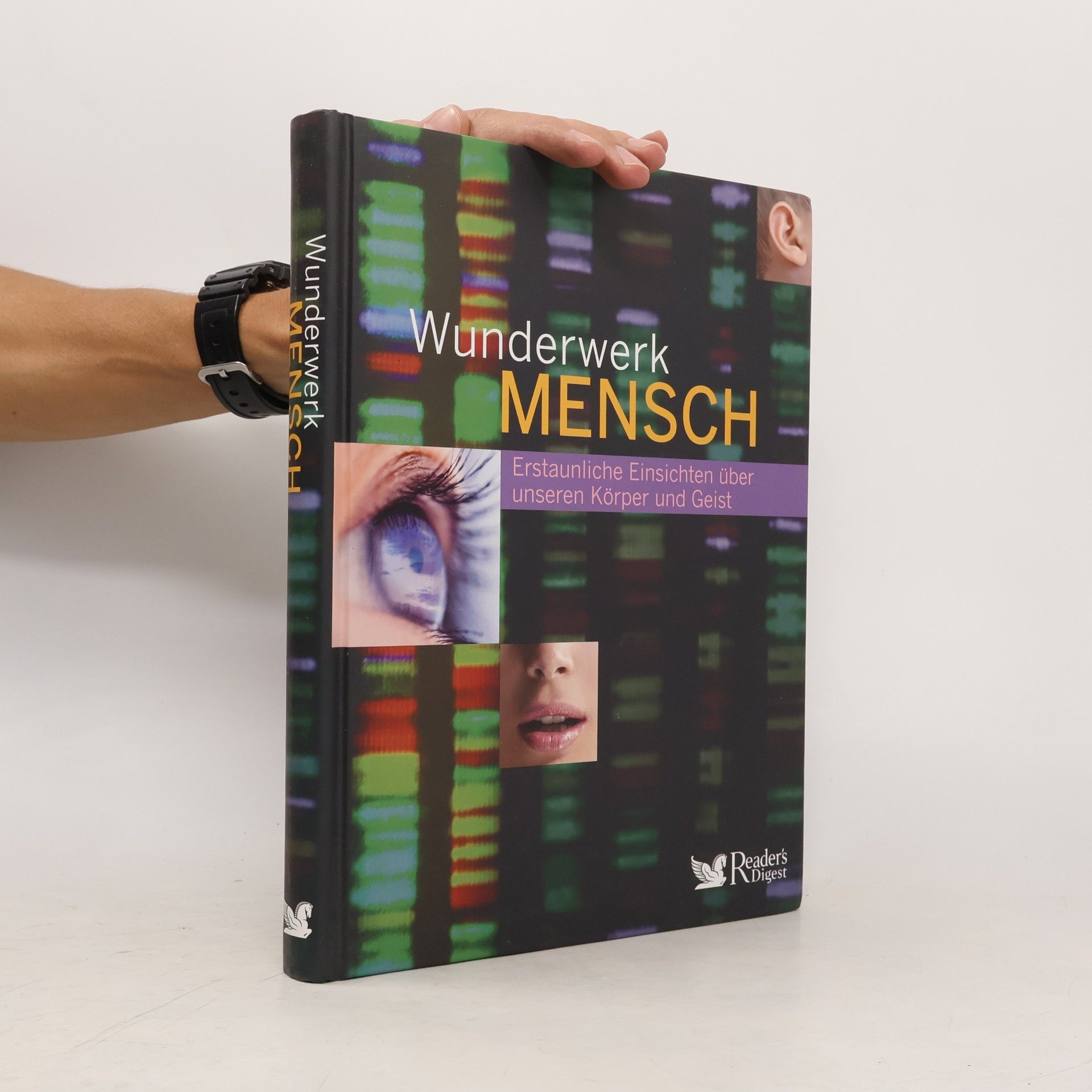 Annegret Gellweiler Wunderwerk Mensch