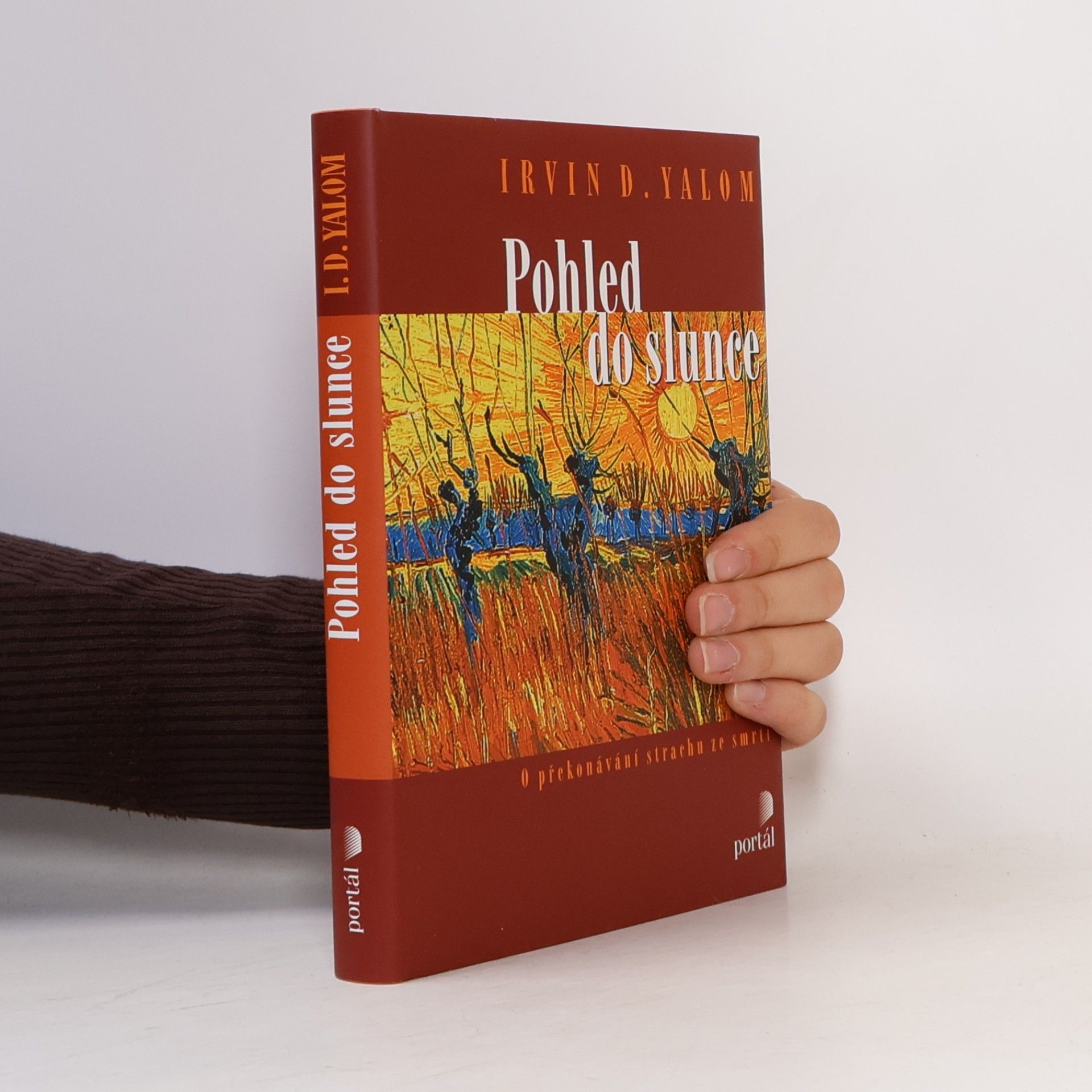 Irvin Yalom Pohled do slunce