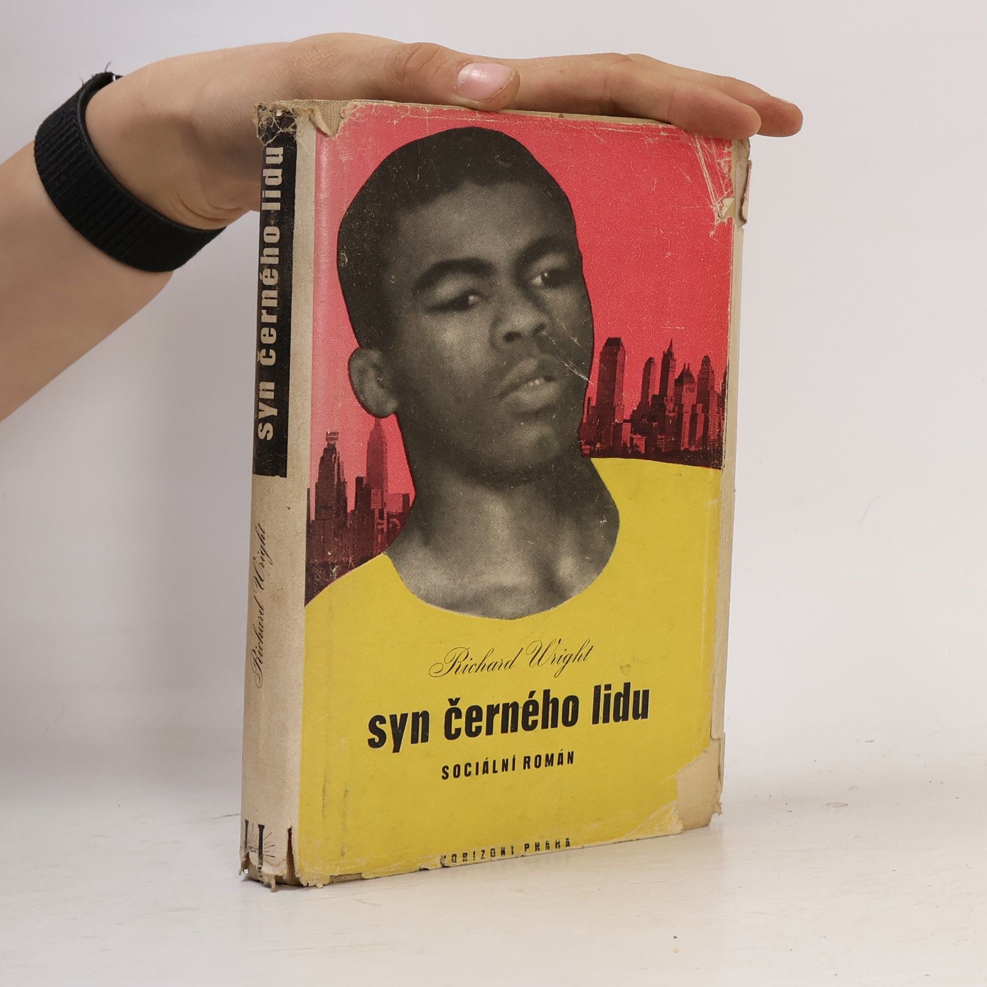 Syn černého lidu : sociální román