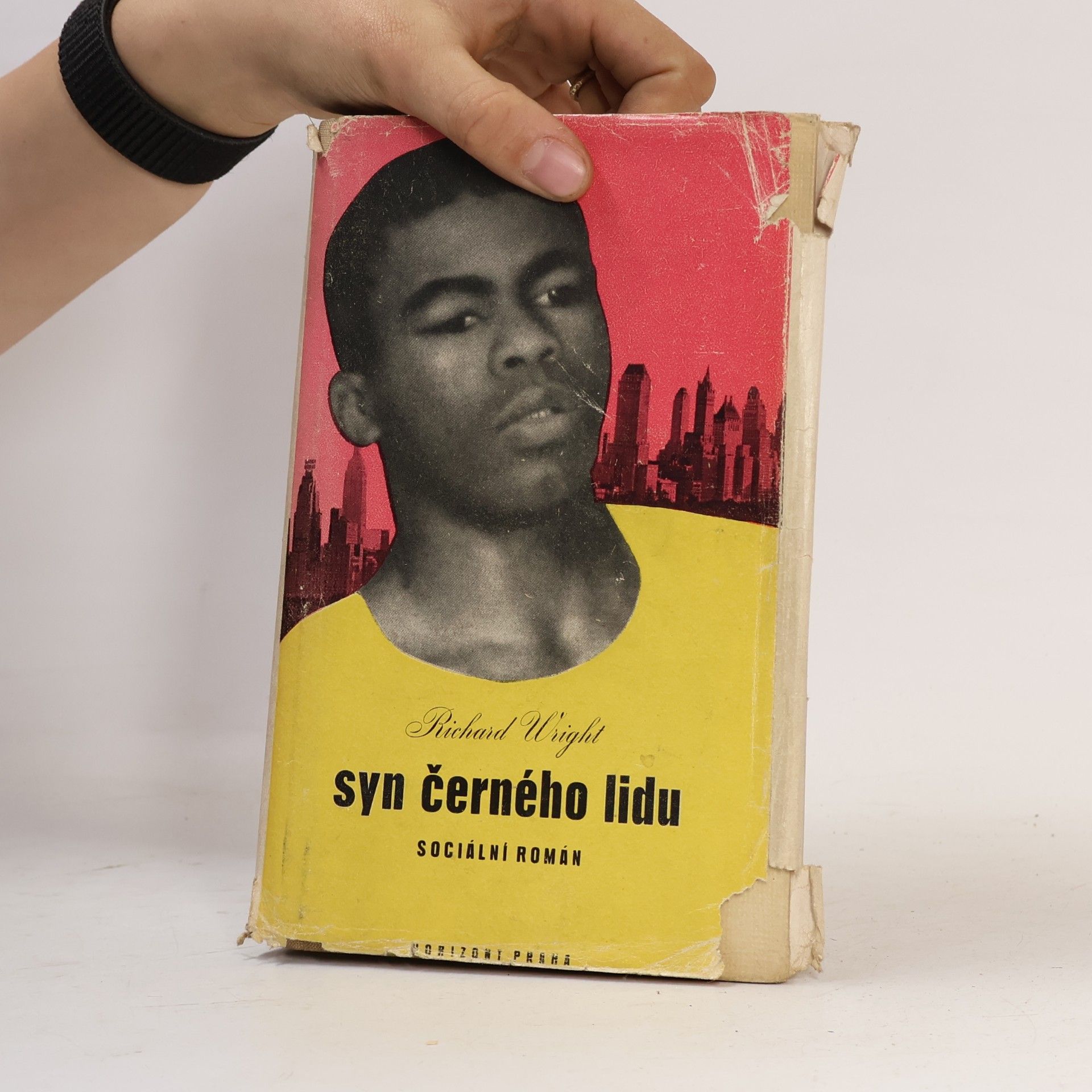 Richard Wright Syn černého lidu : sociální román
