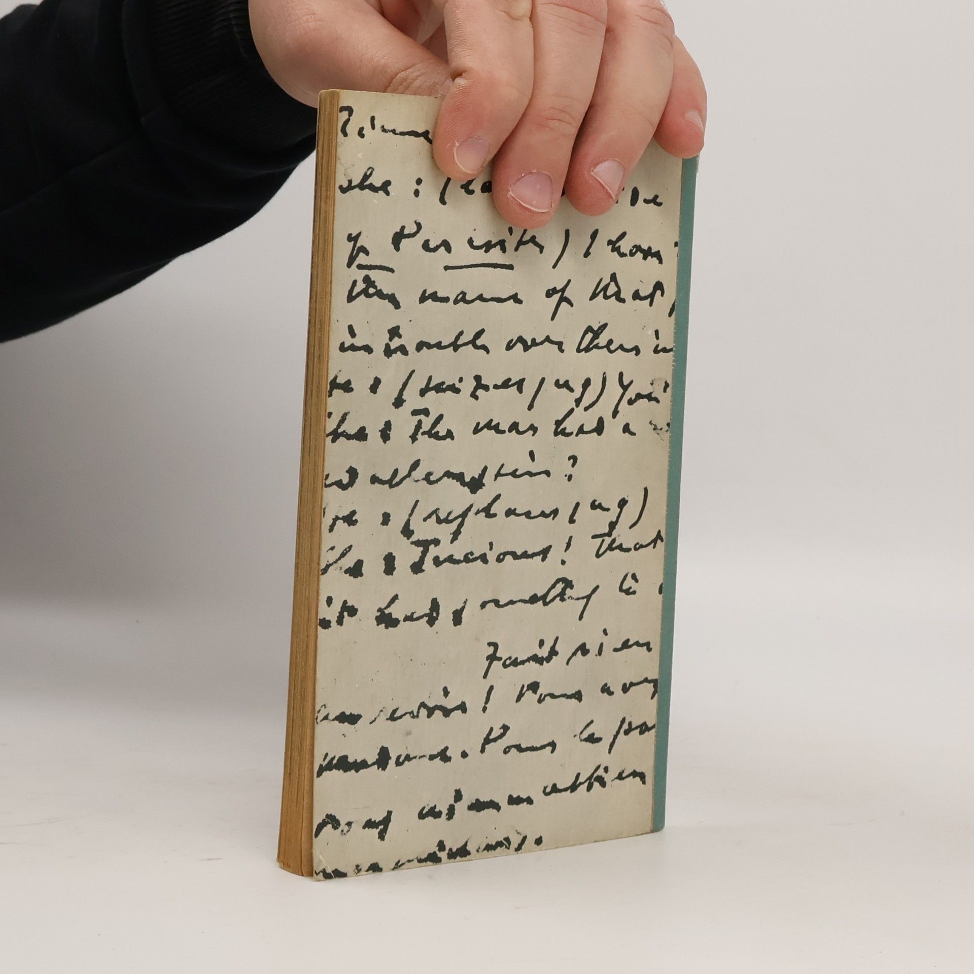 Jean Paris James Joyce in Selbstzeugnissen und Bilddokumenten