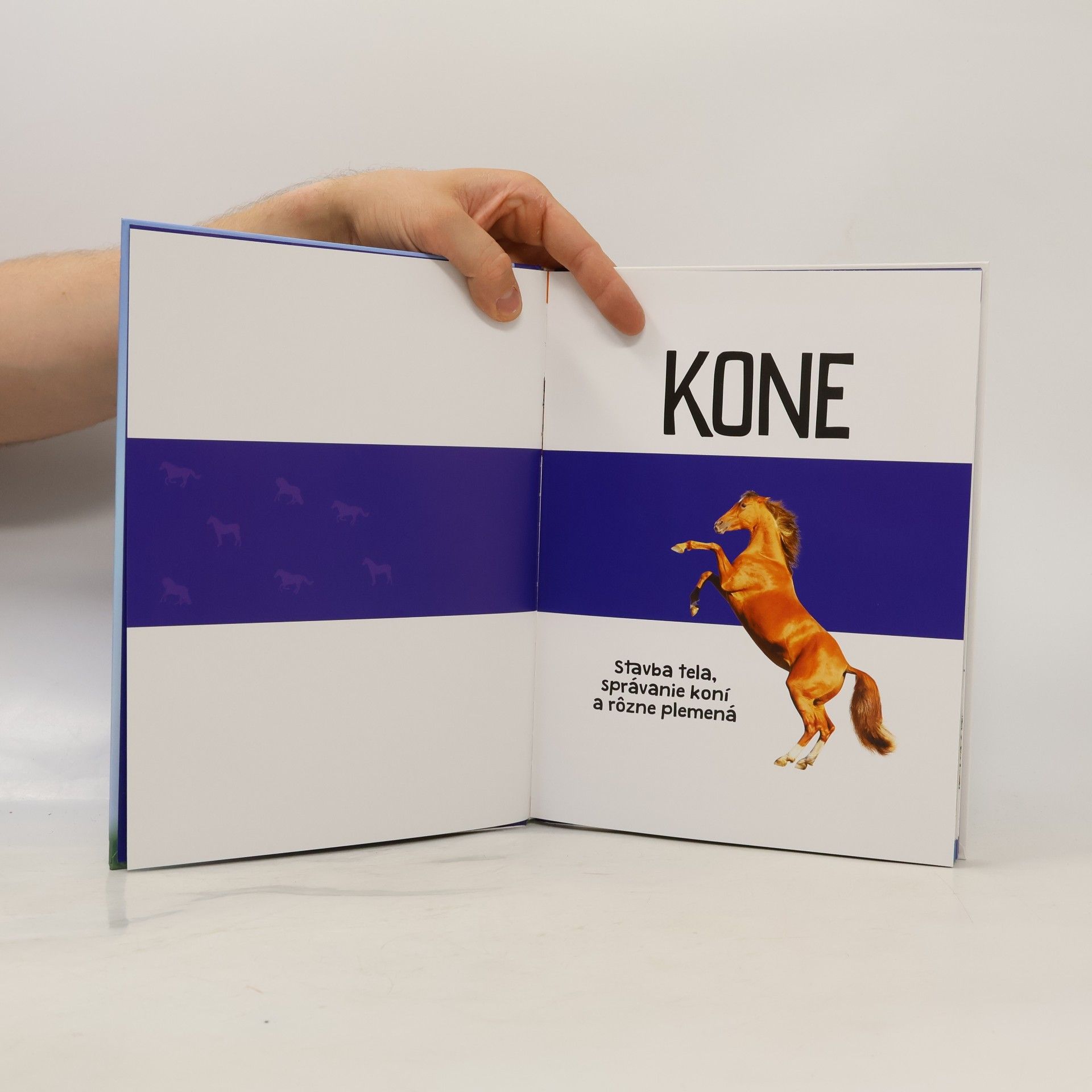 Auteurscollectief Vieme to: Kone